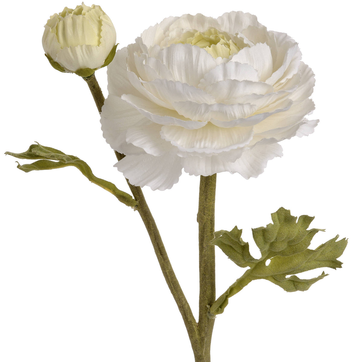 White Ranunculus Spray by Hill Interiors - image 4