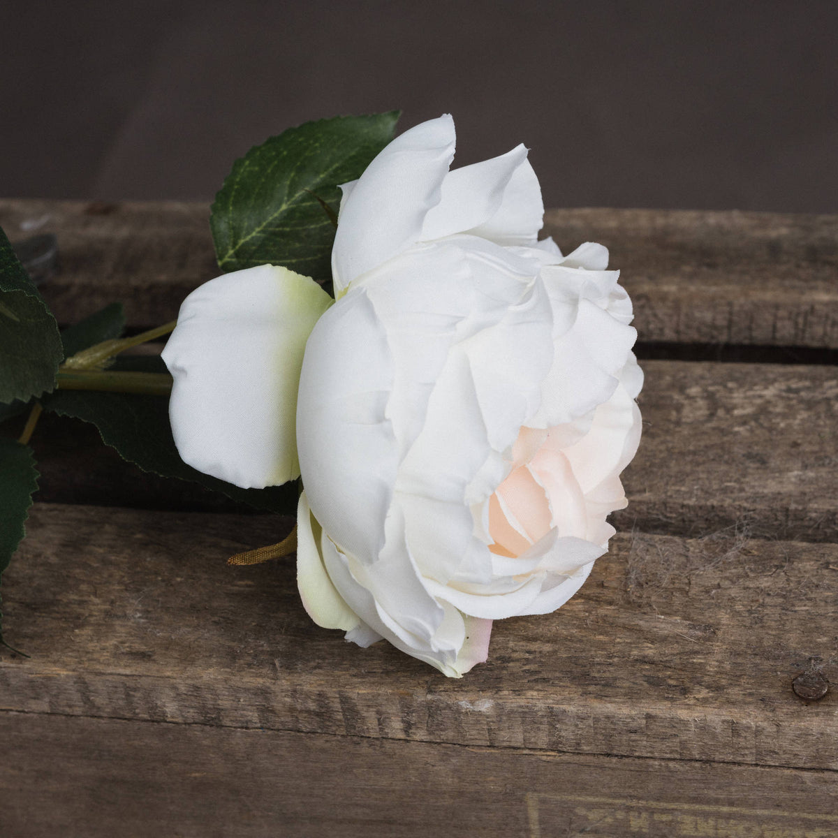 Blush Garden Rose by Hill Interiors - image 3