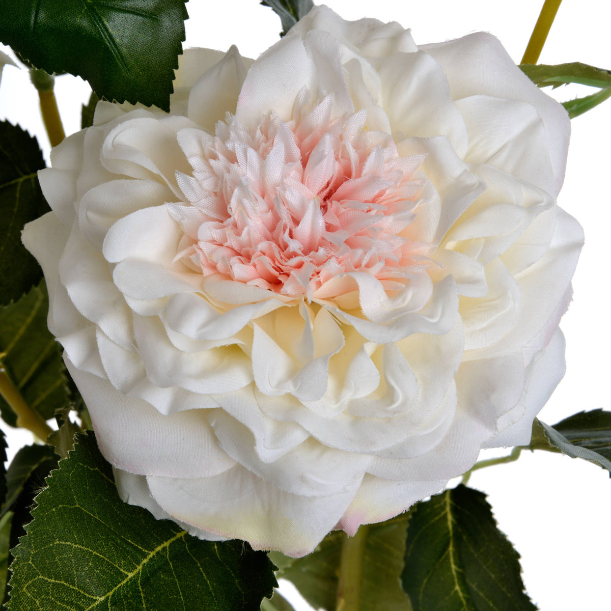 White Garden Rose Spray by Hill Interiors - image 5