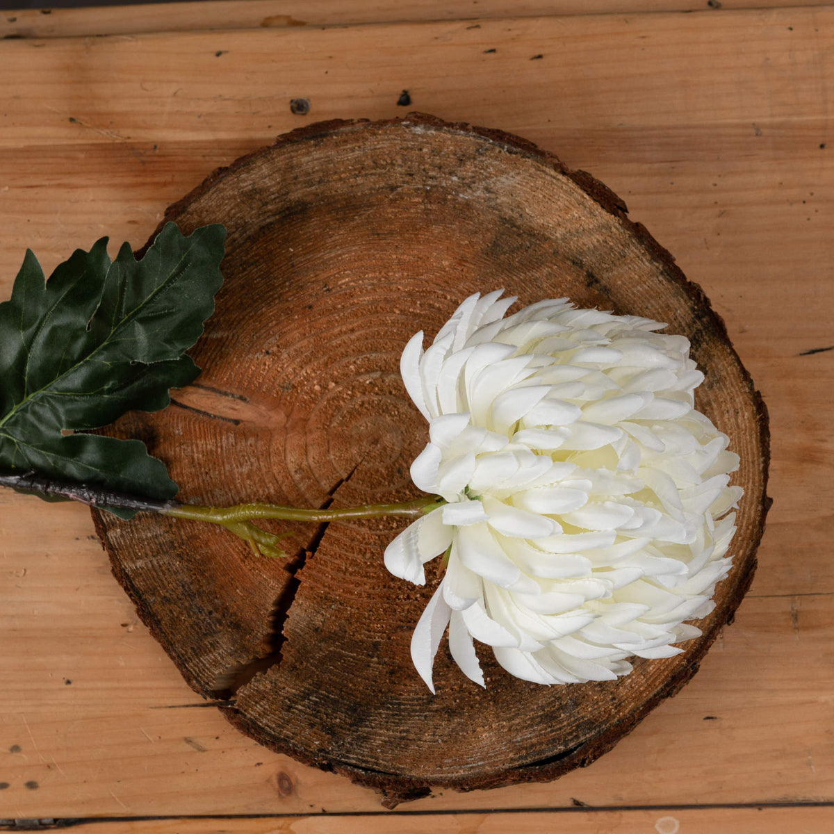 Large White Chrysanthemum by Hill Interiors - image 2