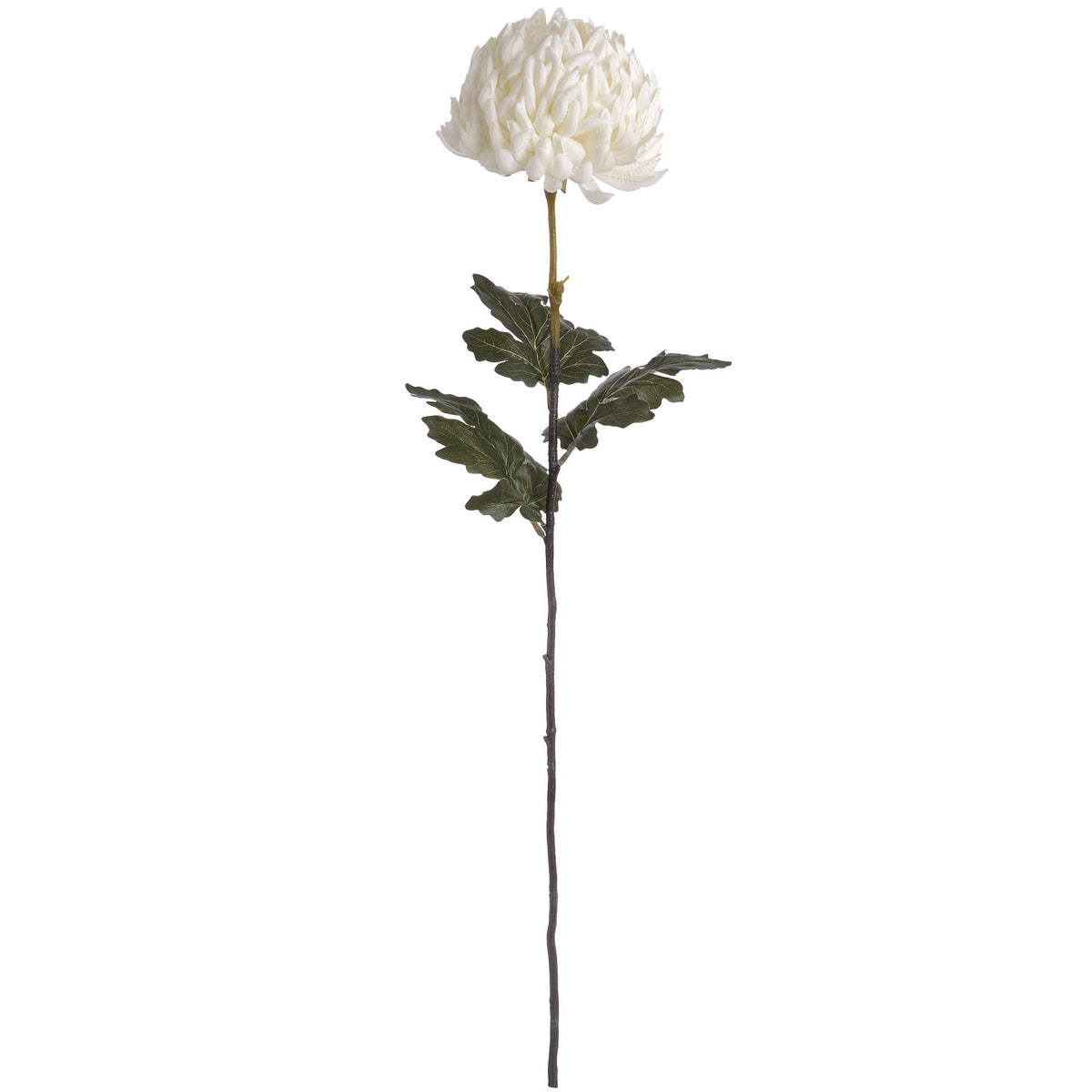 Large White Chrysanthemum by Hill Interiors - image 4