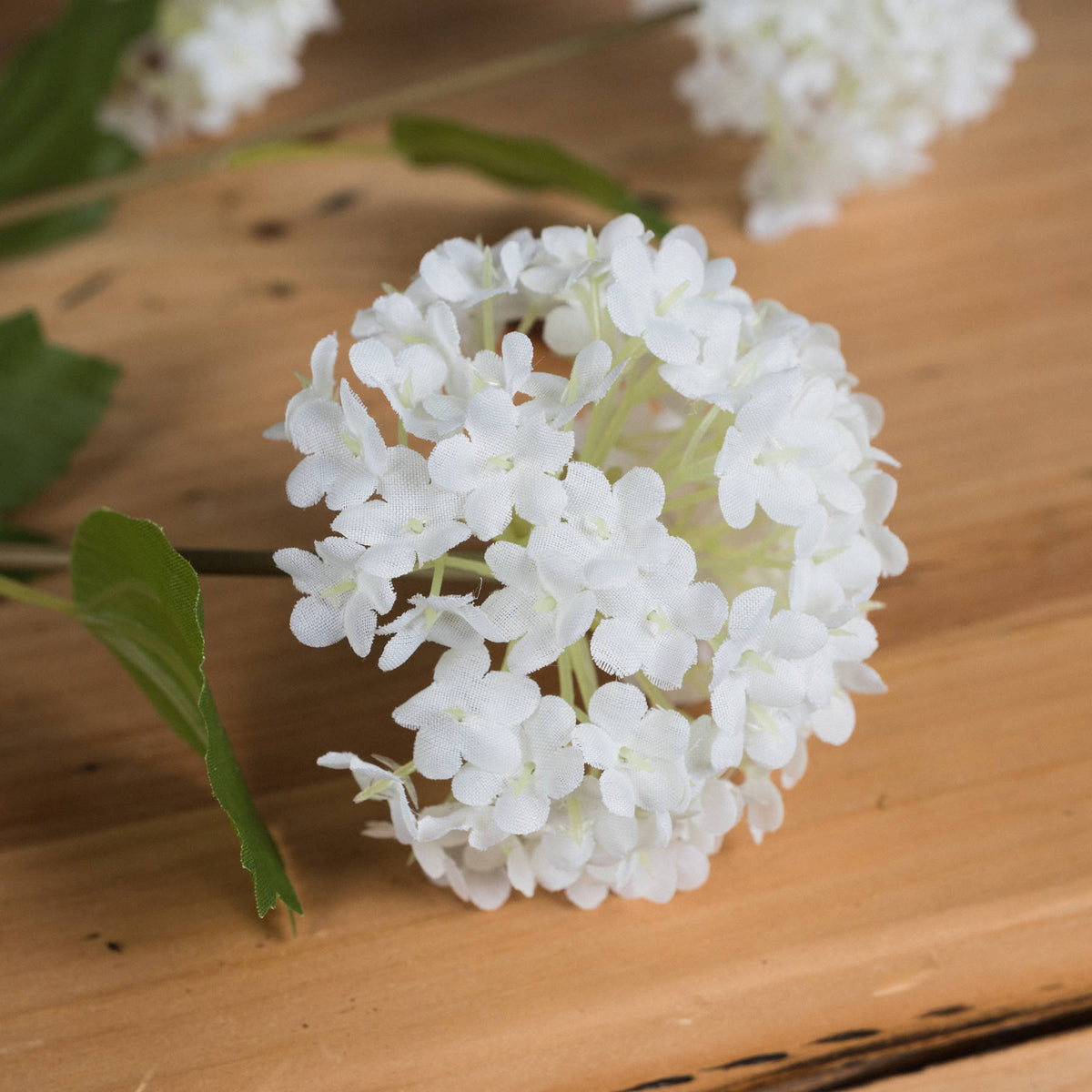 Viburnum Opulus by Hill Interiors - image 3