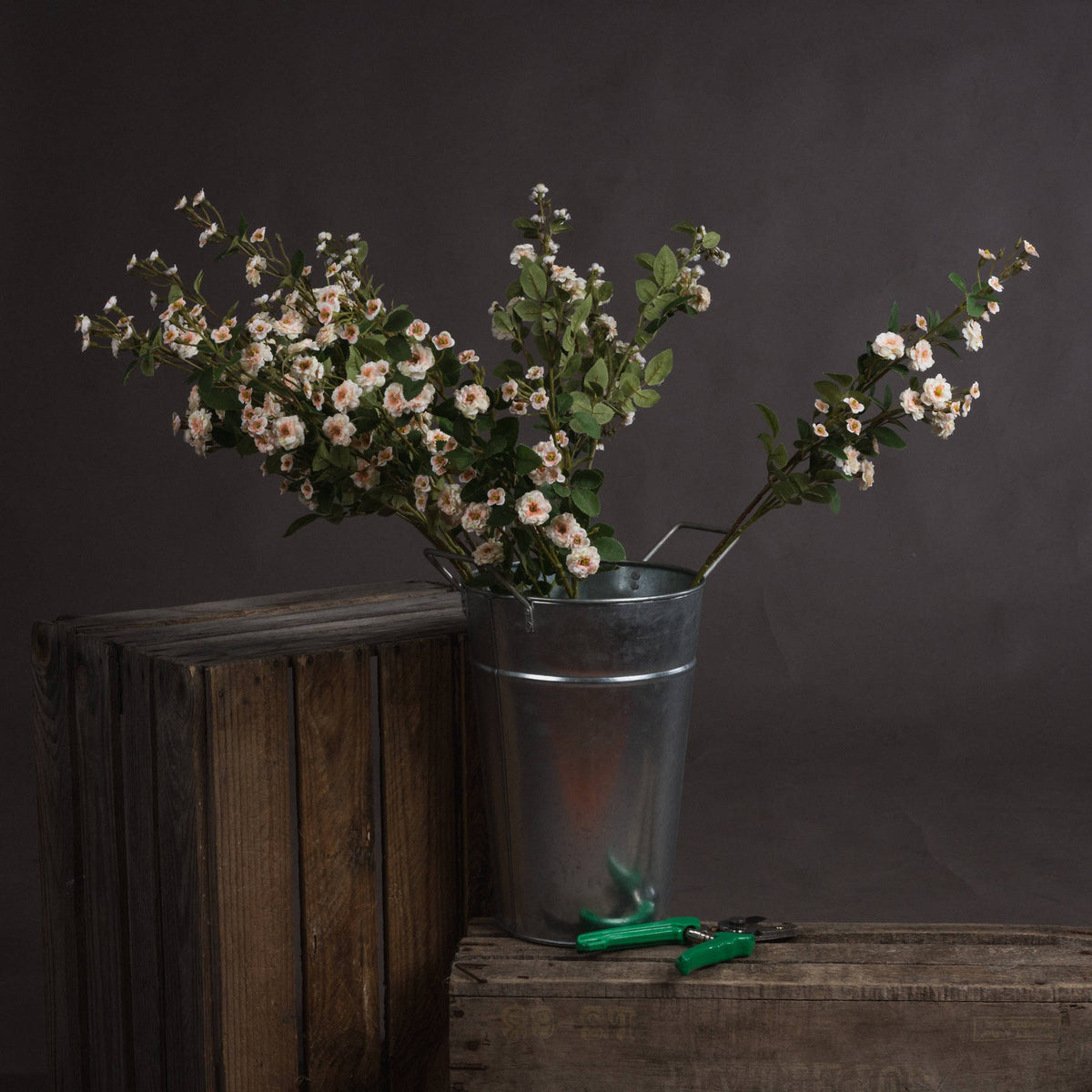 Cream Wild Meadow Rose by Hill Interiors