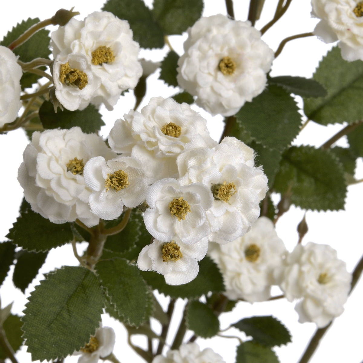 White Wild Meadow Rose by Hill Interiors - image 5