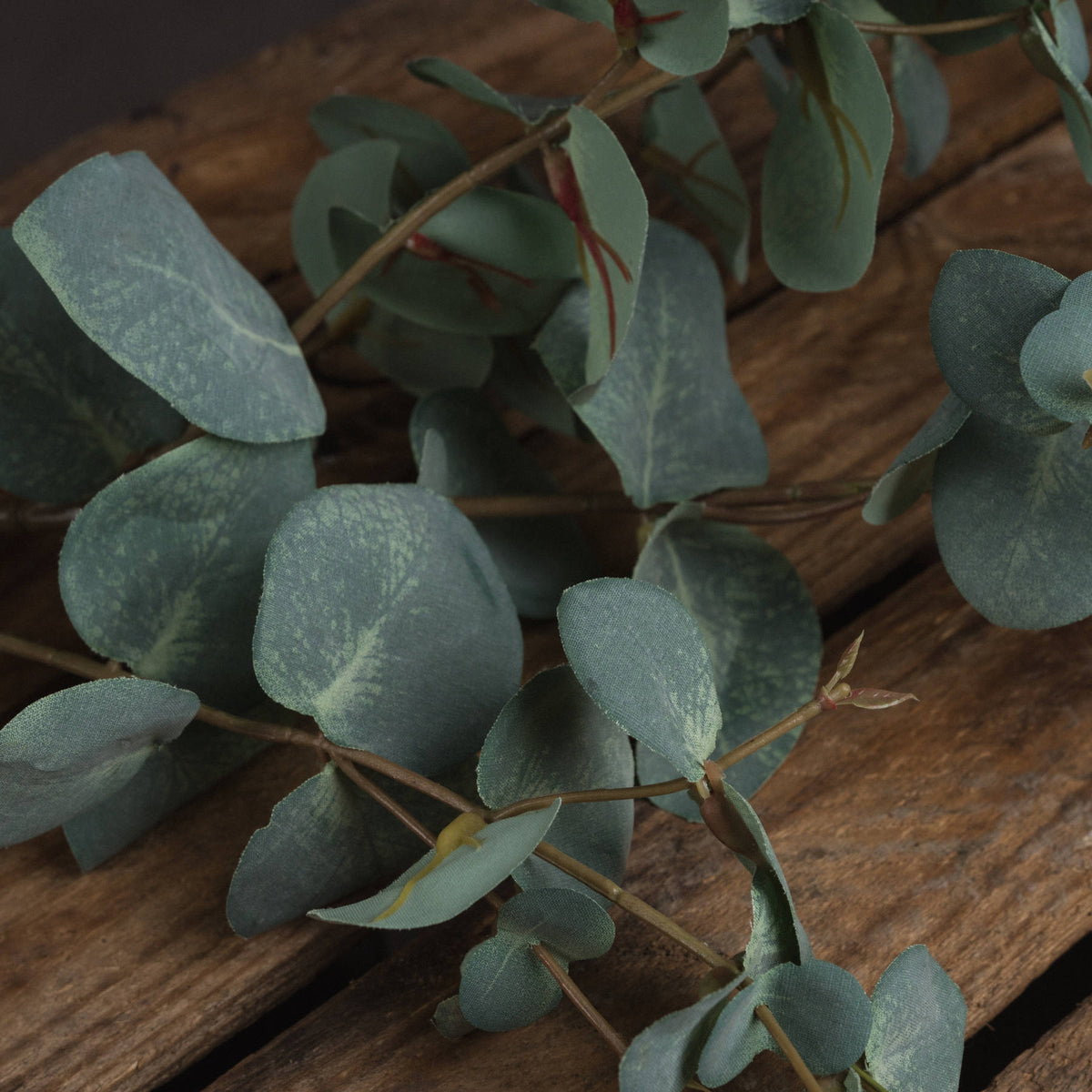 Variegated Eucalyptus by Hill Interiors - image 3