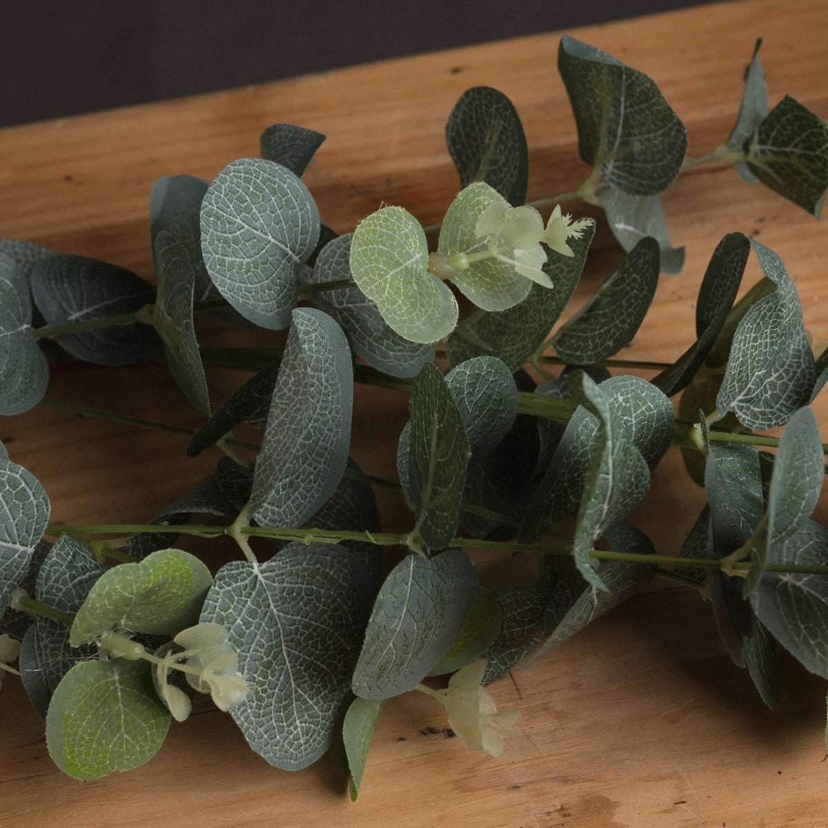 Eucalyptus Spray by Hill Interiors - image 3