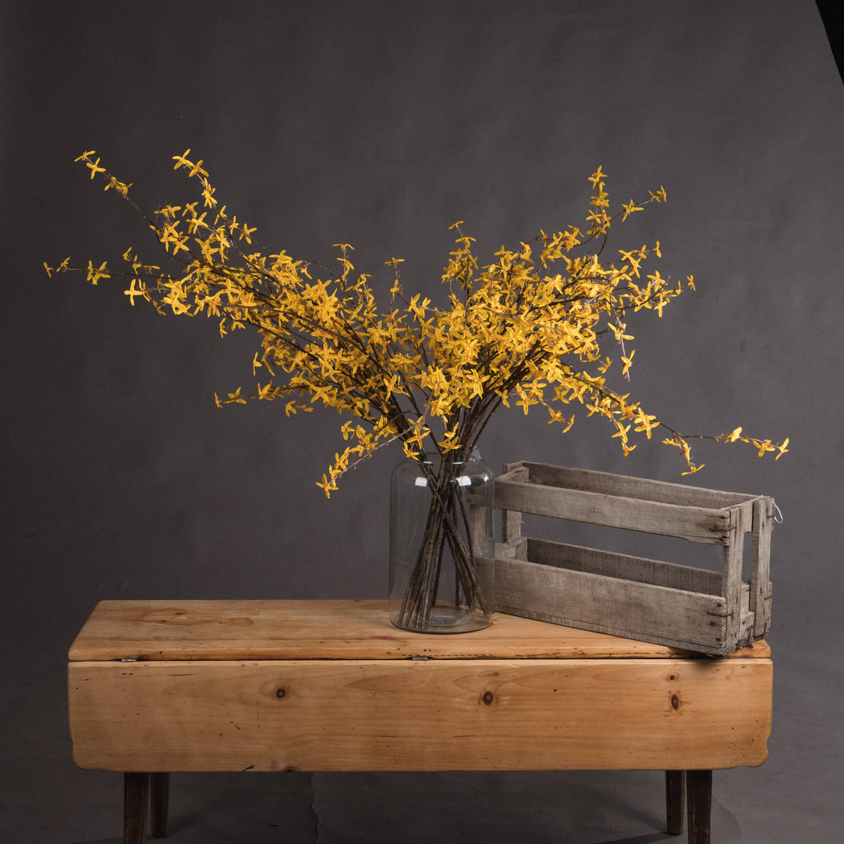 Forsythia by Hill Interiors