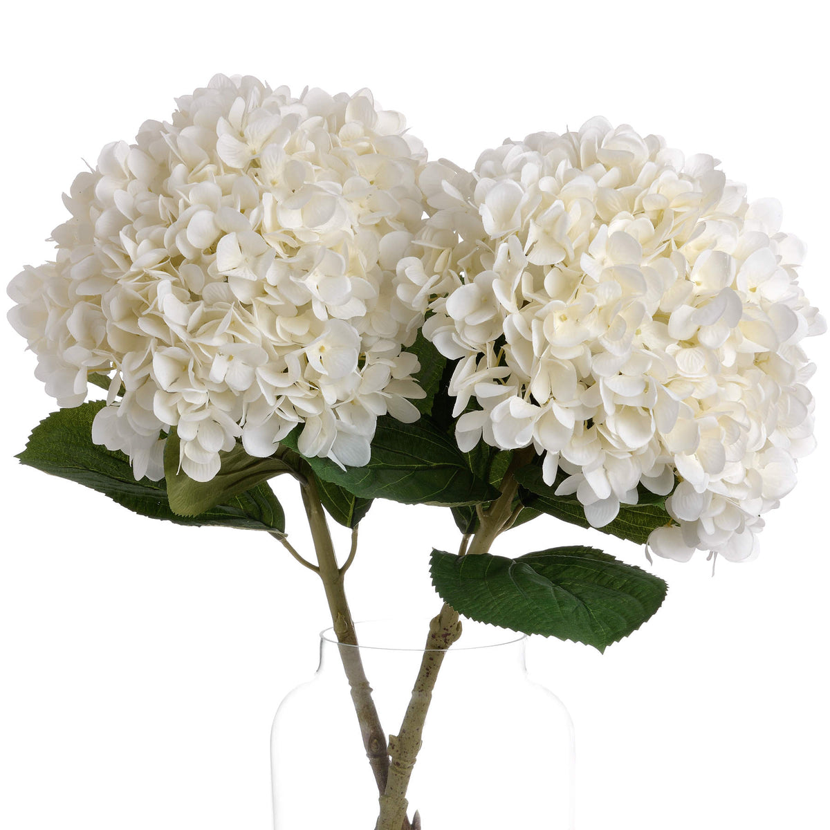 Oversized White Hydrangea by SEDERVA - image 3