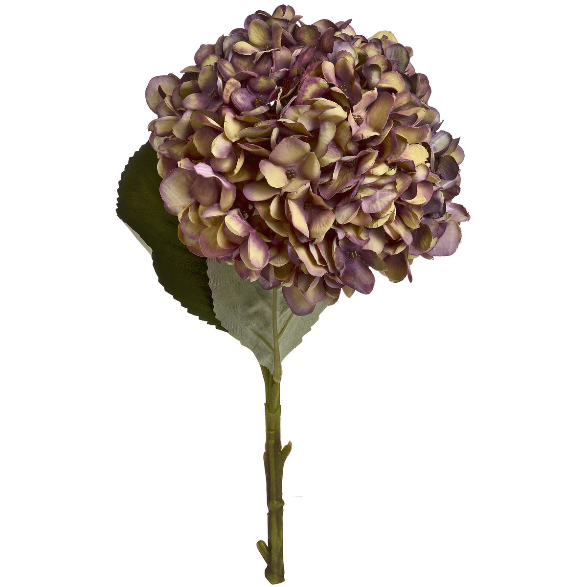 Autumn Burgundy Hydrangea by Hill Interiors - image 2