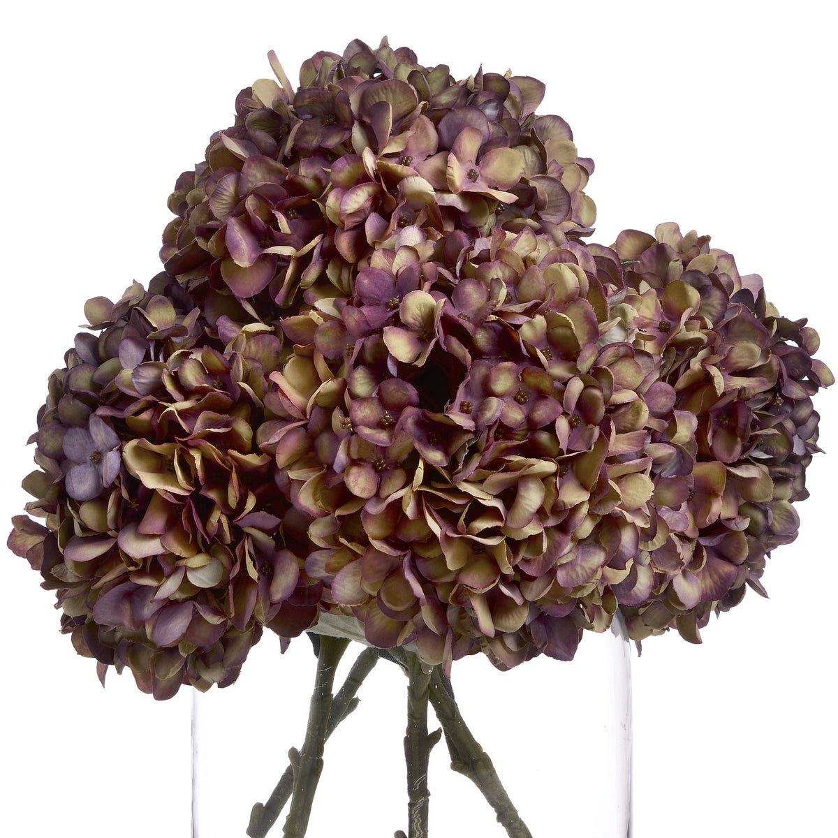 Autumn Burgundy Hydrangea by Hill Interiors - image 4