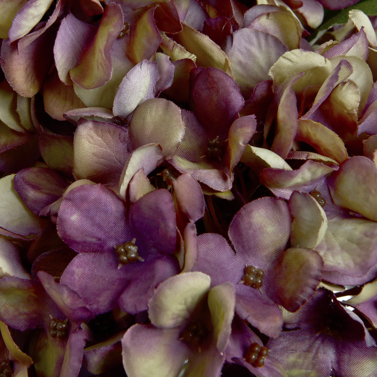 Autumn Burgundy Hydrangea by Hill Interiors - image 5