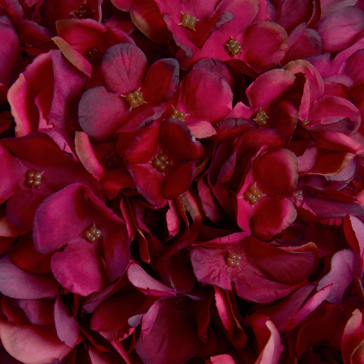 Autumn Ruby Hydrangea by Hill Interiors - image 5