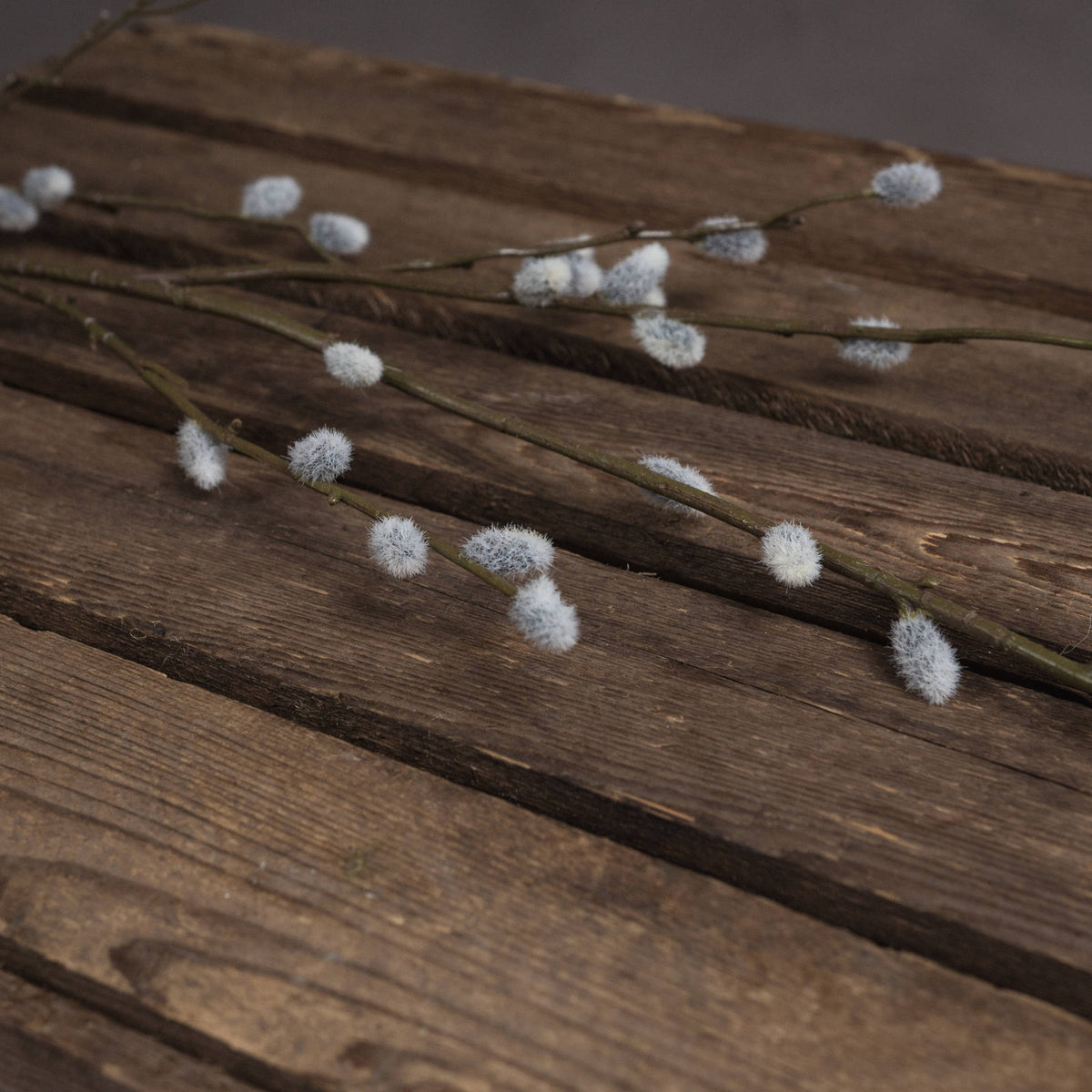 Pussy Willow Branch by Hill Interiors - image 3