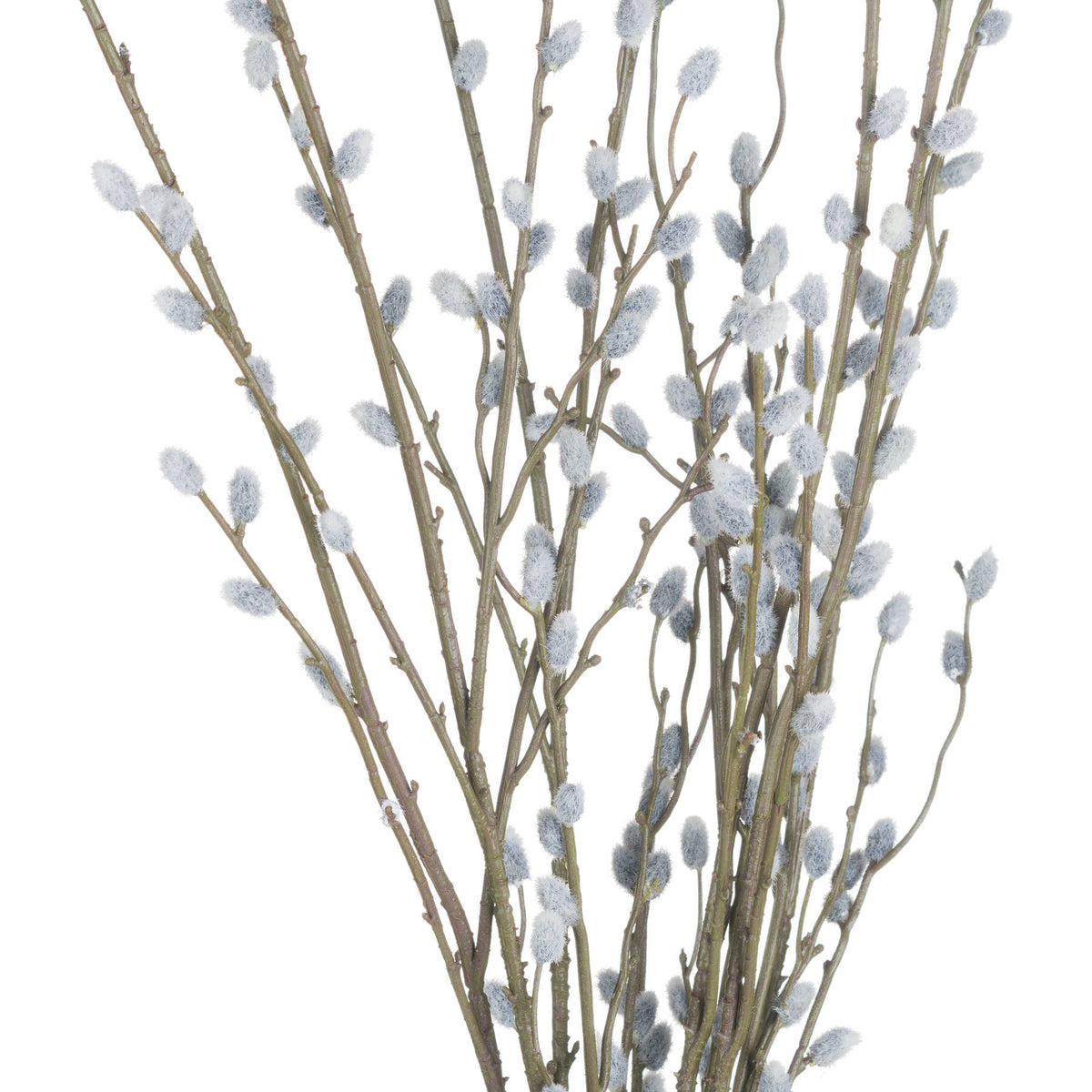 Pussy Willow Branch by Hill Interiors - image 5