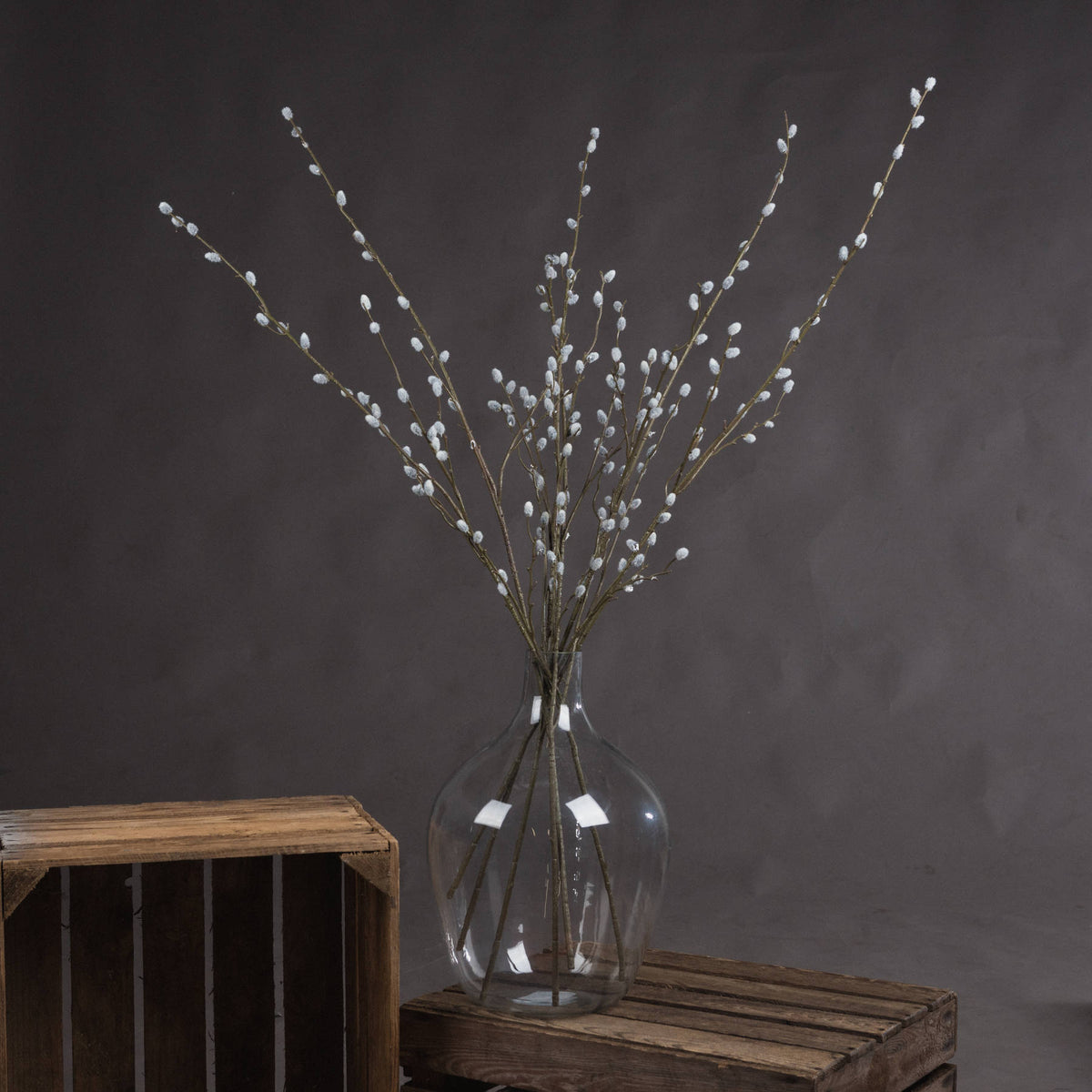 Pussy Willow Branch by Hill Interiors