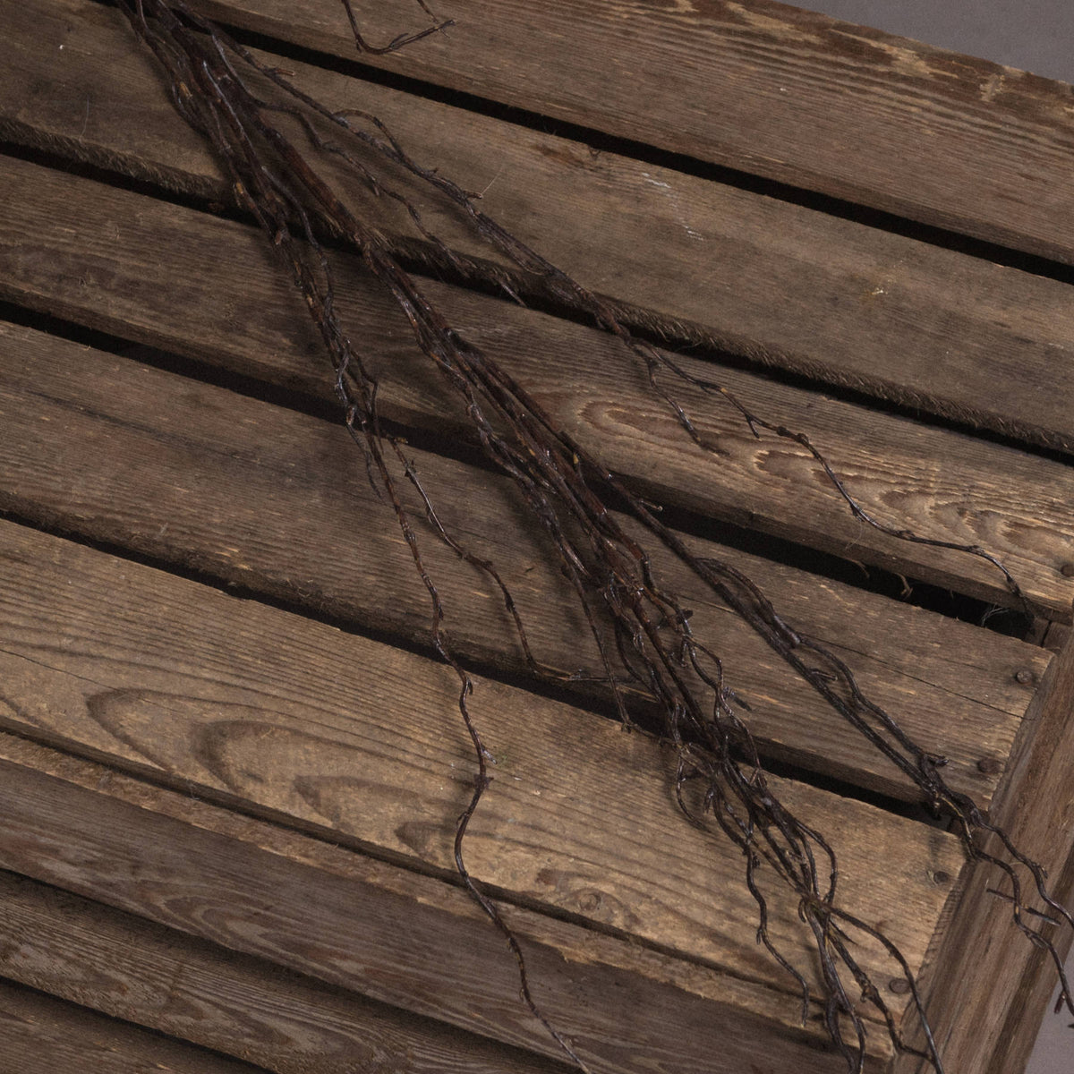 Branch Spray by Hill Interiors - image 3