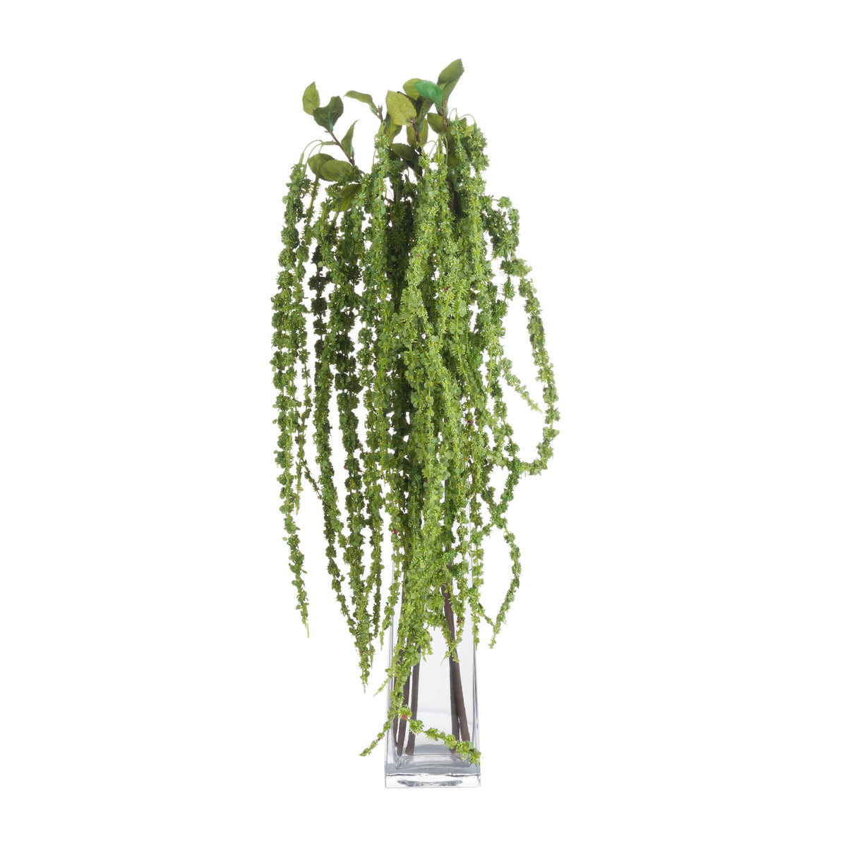 Green Amaranthus by Hill Interiors - image 4