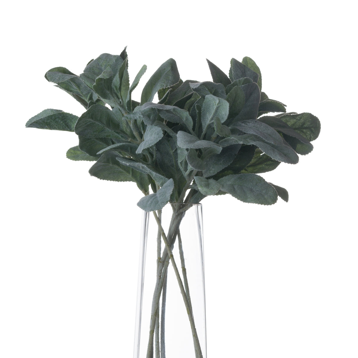 Lambs Ear Spray by Hill Interiors - image 3