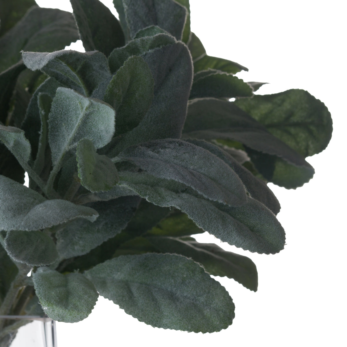 Lambs Ear Spray by Hill Interiors - image 4