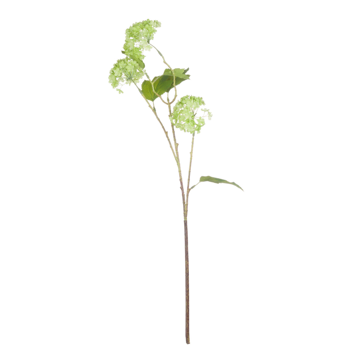 Green Viburnum Spray by Hill Interiors - image 4