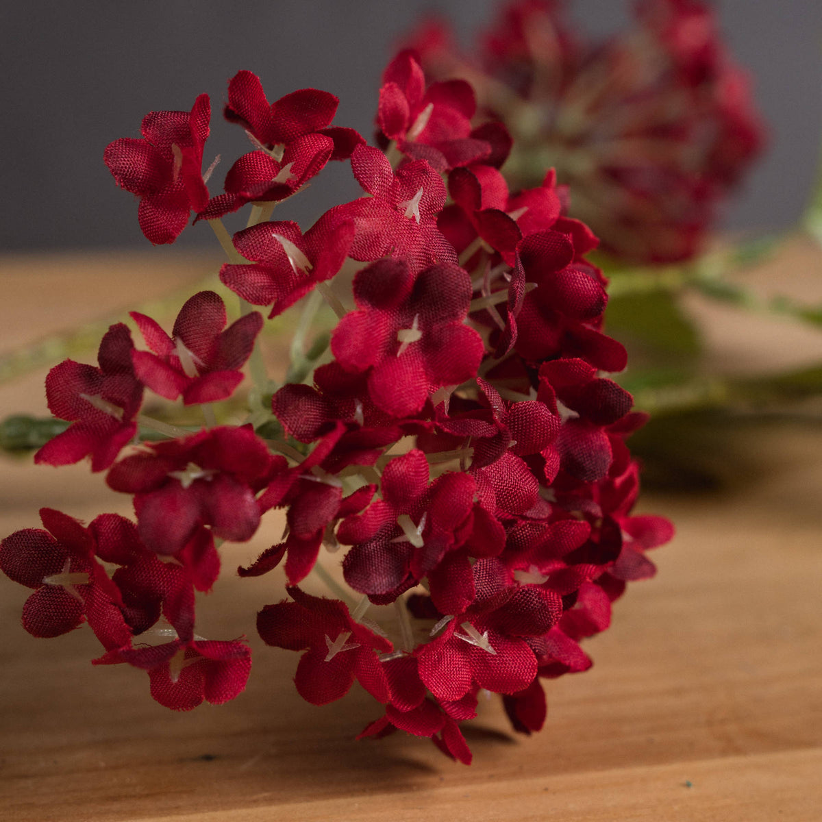 Red Autumnal Viburnum by Hill Interiors - image 3