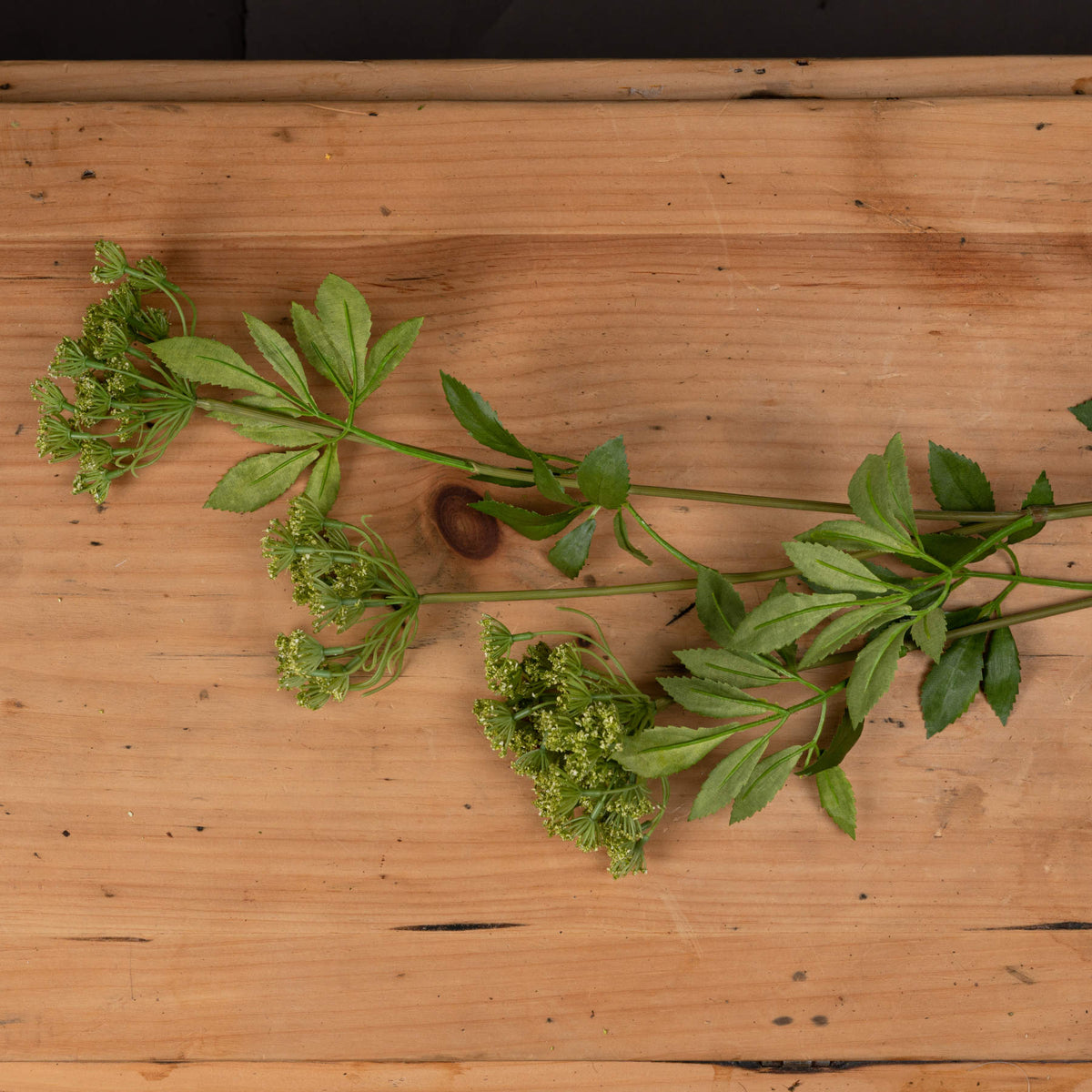 Faux Cow Parsley Ammi by Hill Interiors - image 2