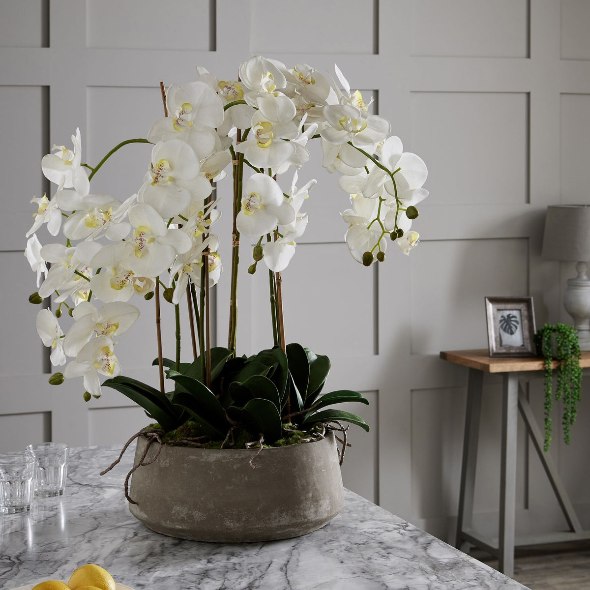 Large White Orchid In Stone Pot by Hill Interiors - image 4