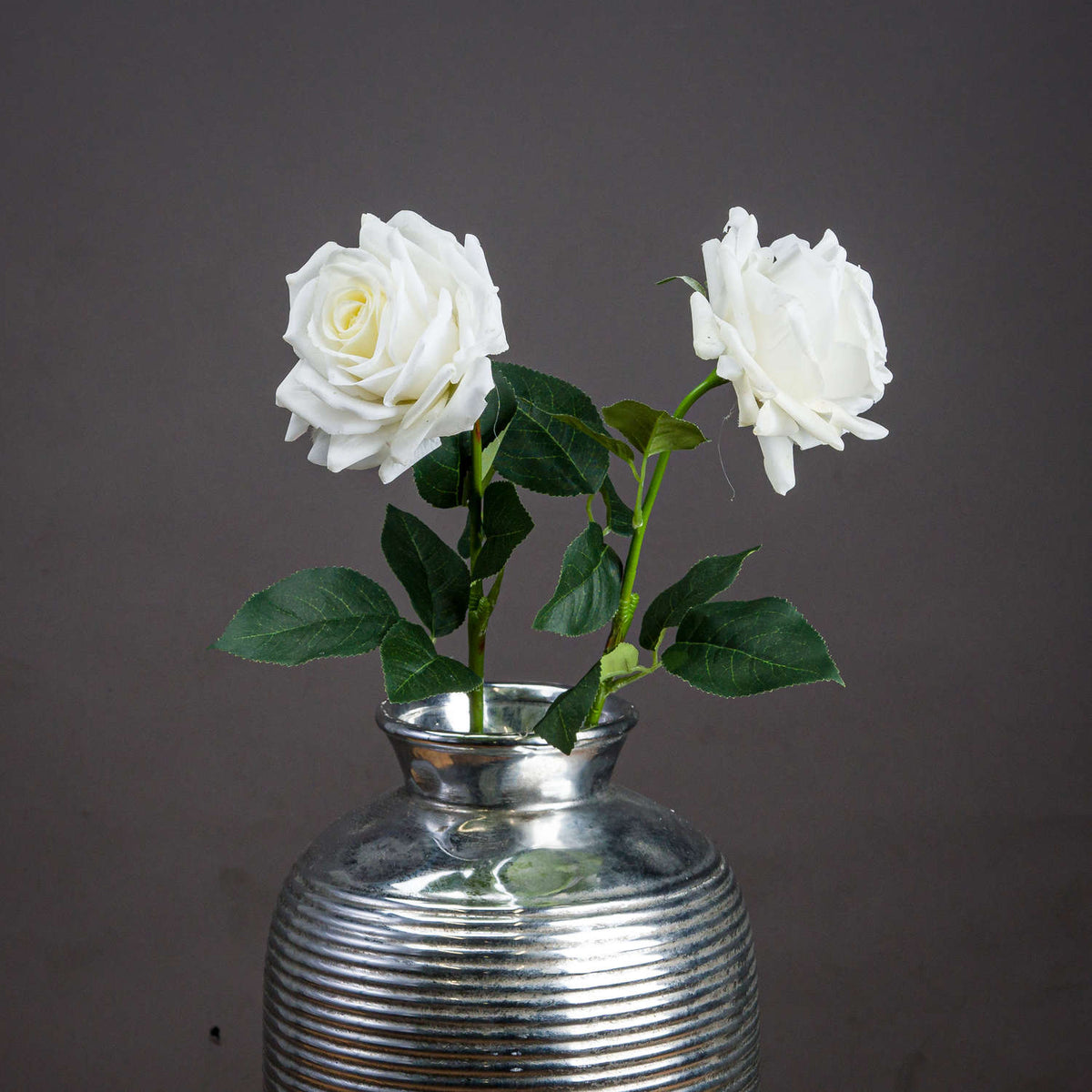 Large White Garden Rose by Hill Interiors