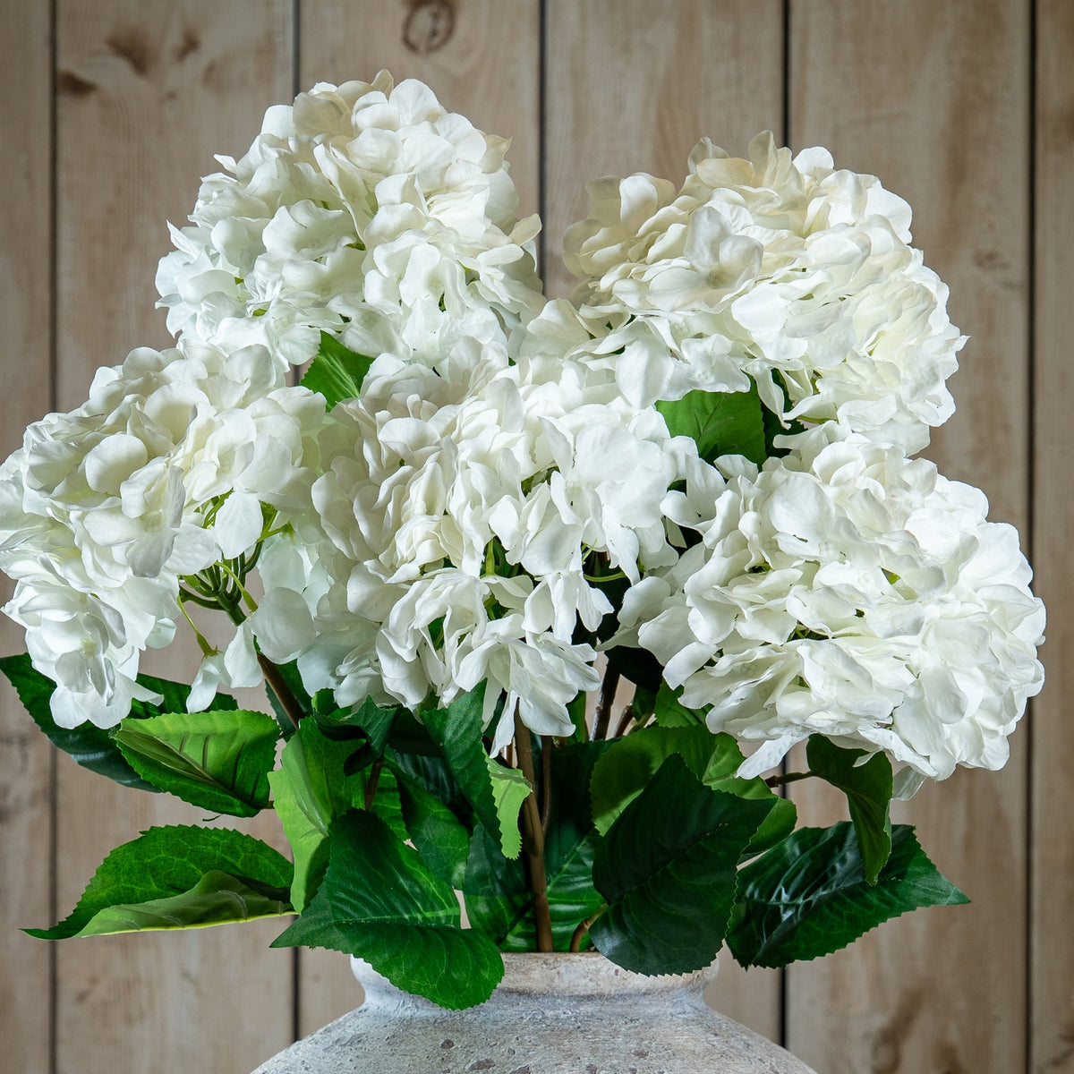 Single White Hydrangea by Hill Interiors