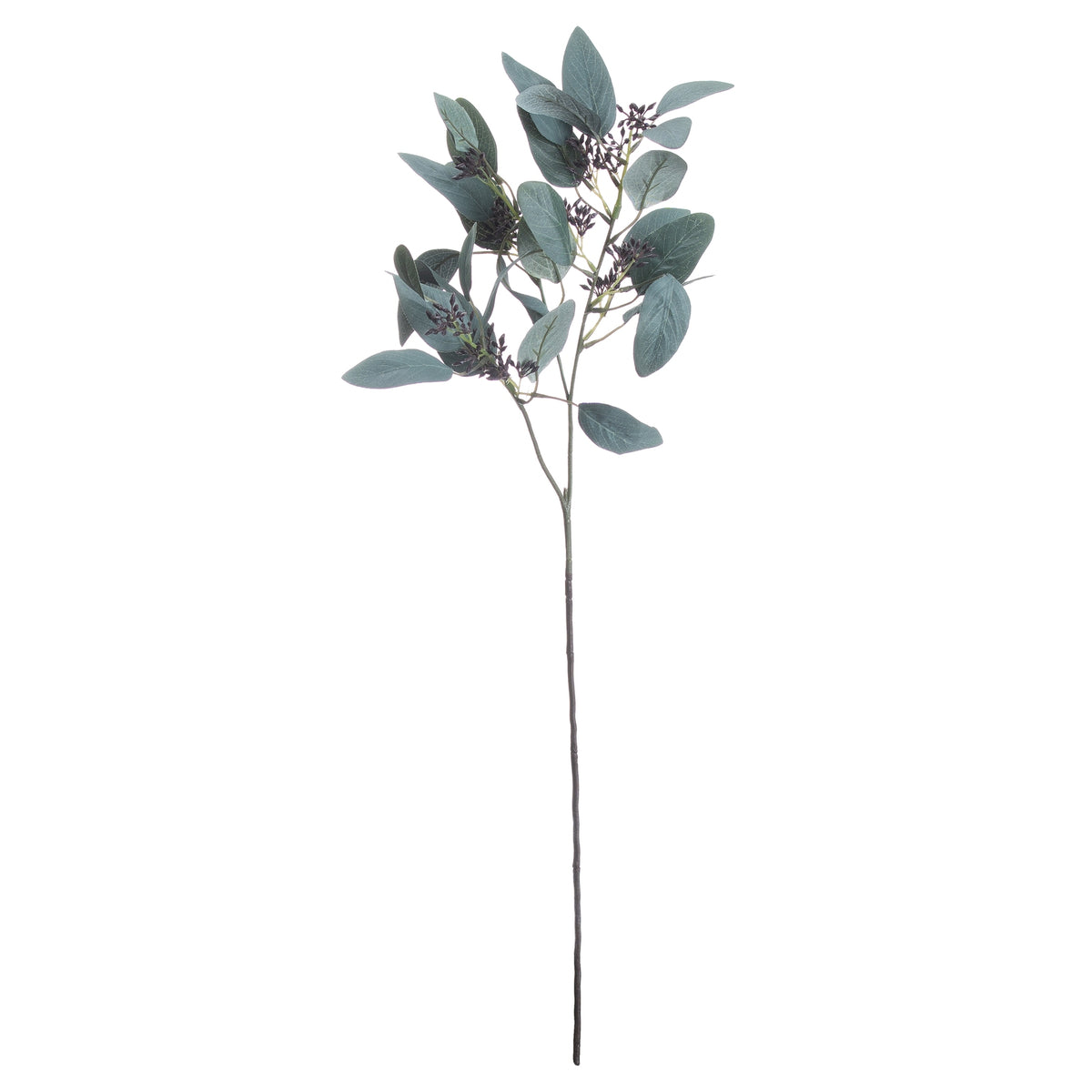 Seeded Eucalyptus Stem by Hill Interiors - image 3