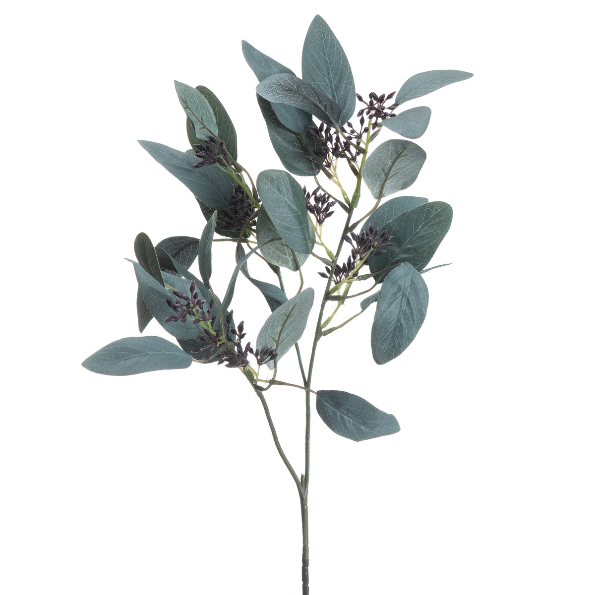 Seeded Eucalyptus Stem by Hill Interiors - image 4