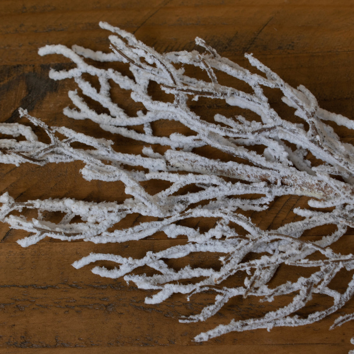 Snow Covered Branch by Hill Interiors - image 2