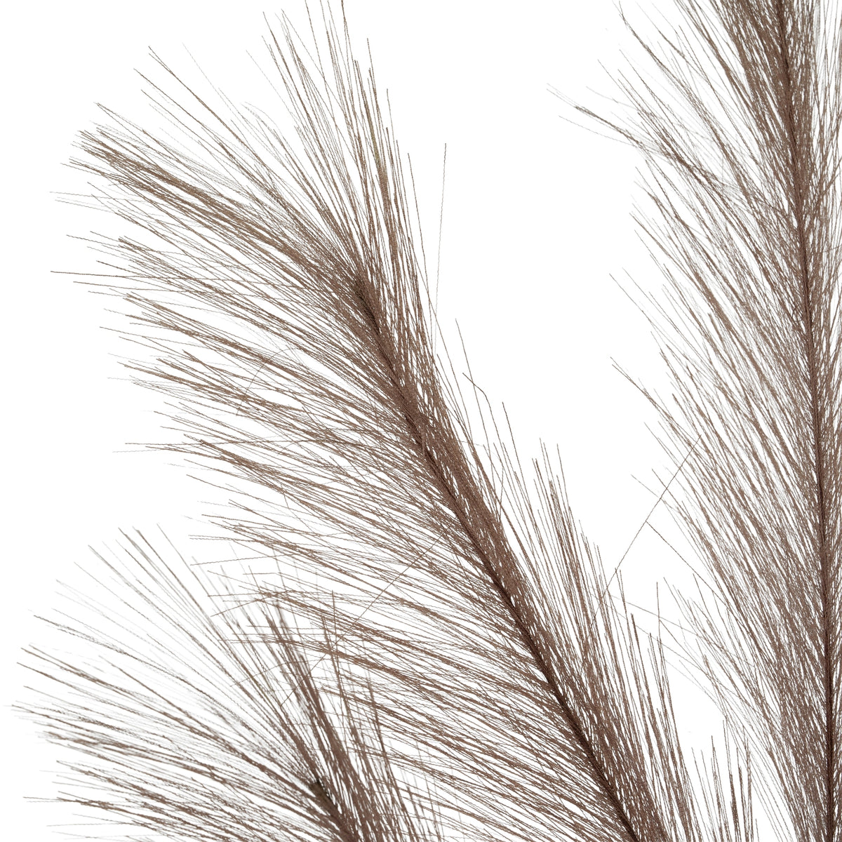 Grey Large Faux Pampas Grass Stem by Hill Interiors - image 4