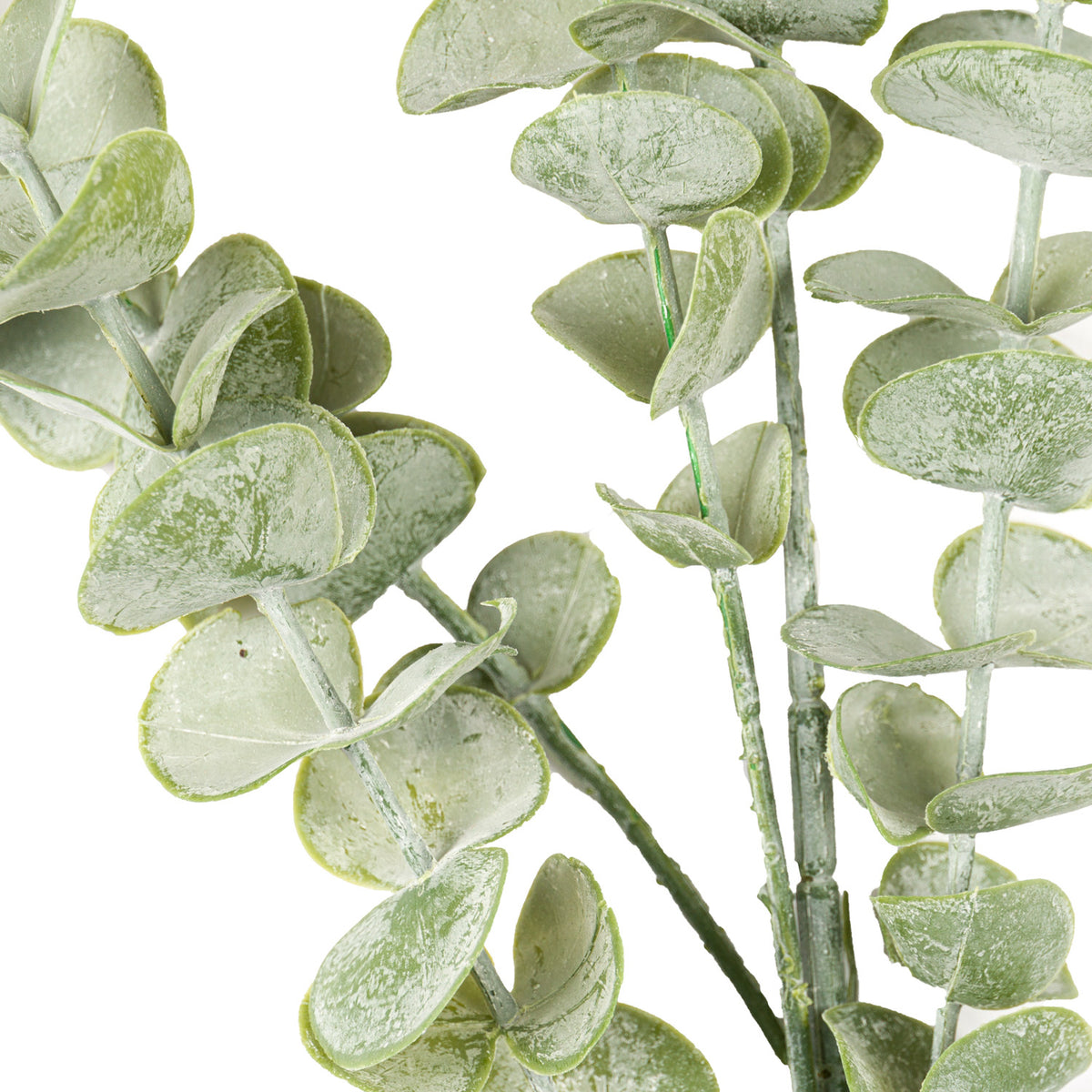 Gunnii Eucalyptus Spray by Hill Interiors - image 2