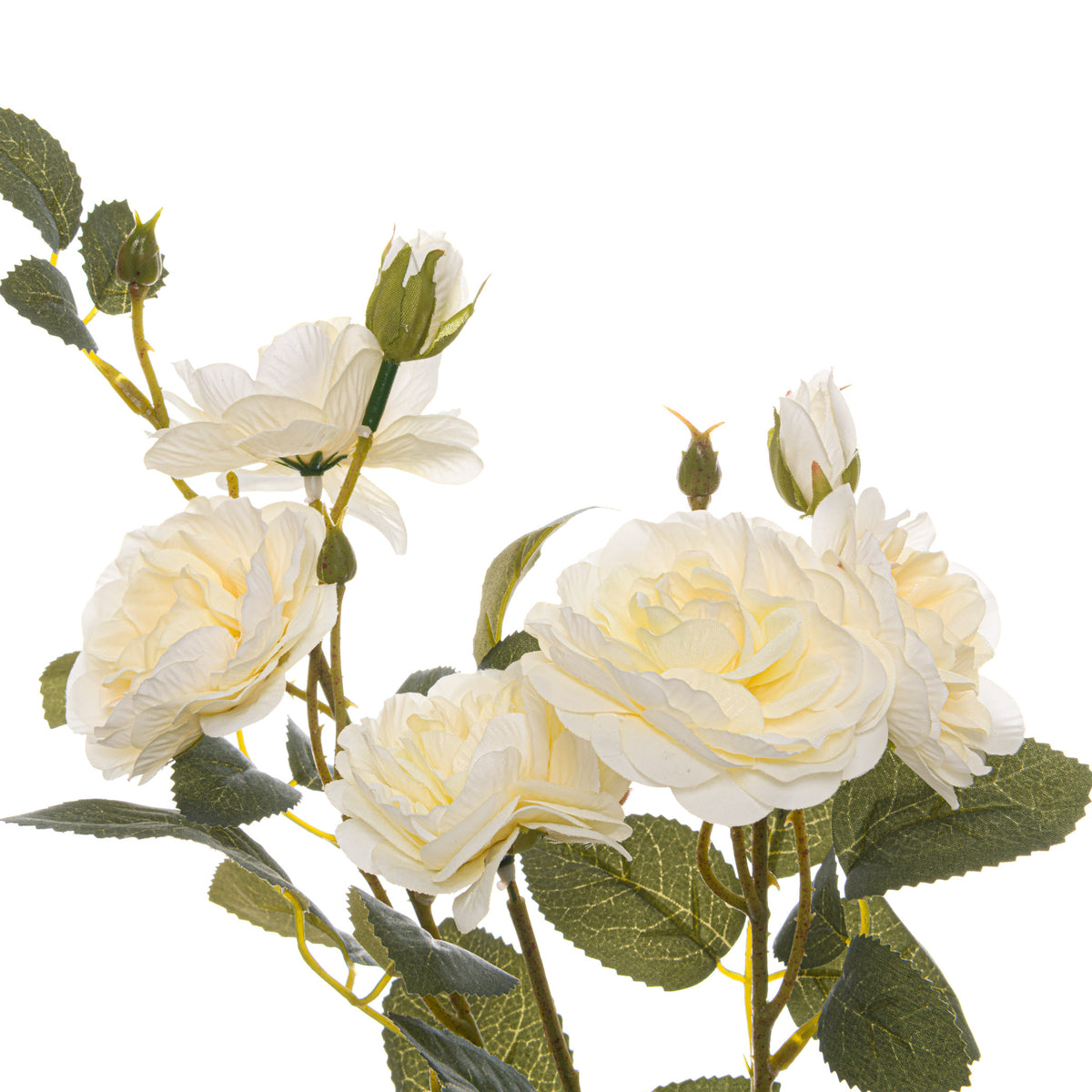 Soft White Cottage Rose Stem by Hill Interiors - image 2