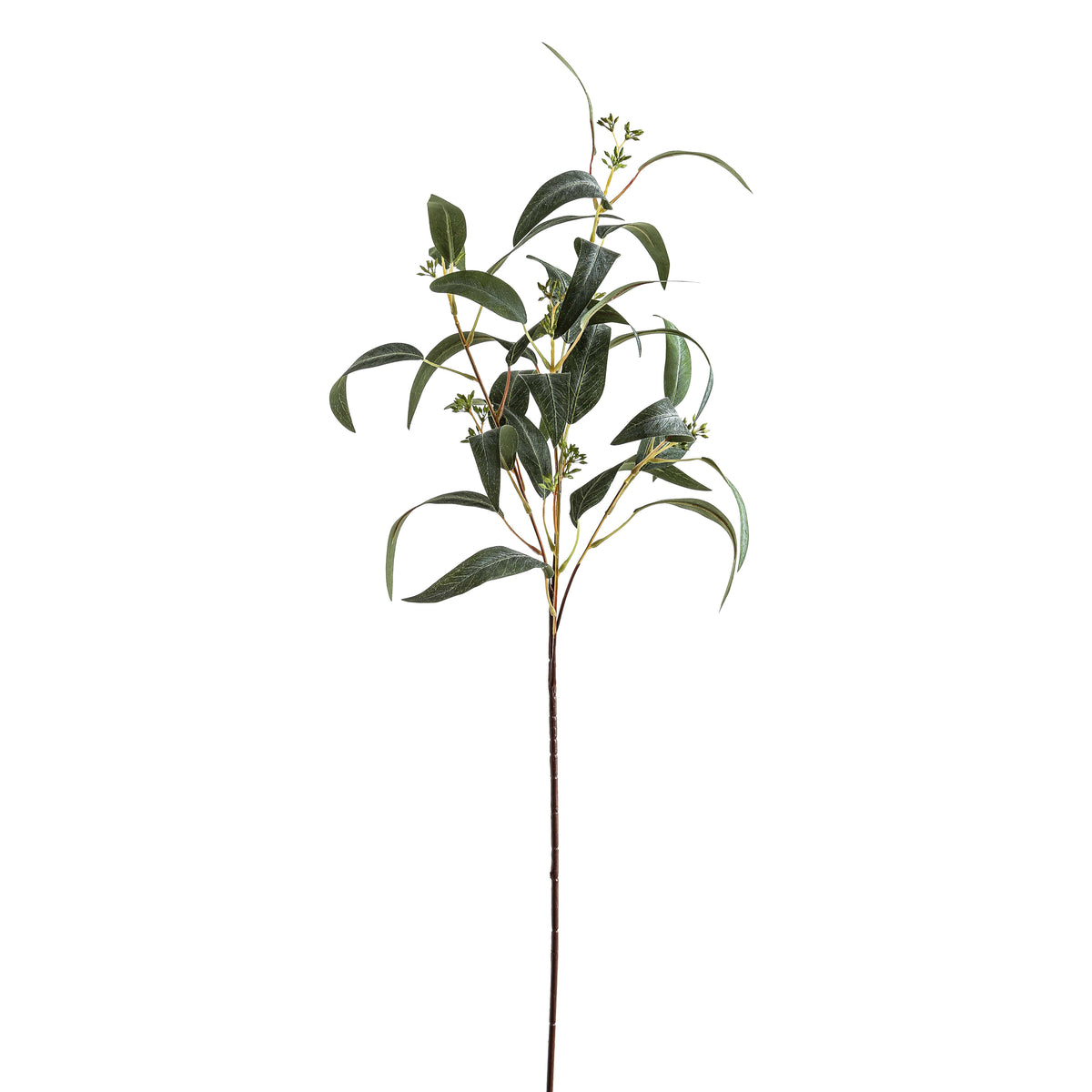 Seeded Eucalyptus Spray by Hill Interiors