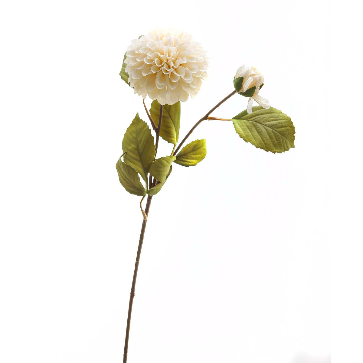 White Dahlia Stem by Hill Interiors - image 2
