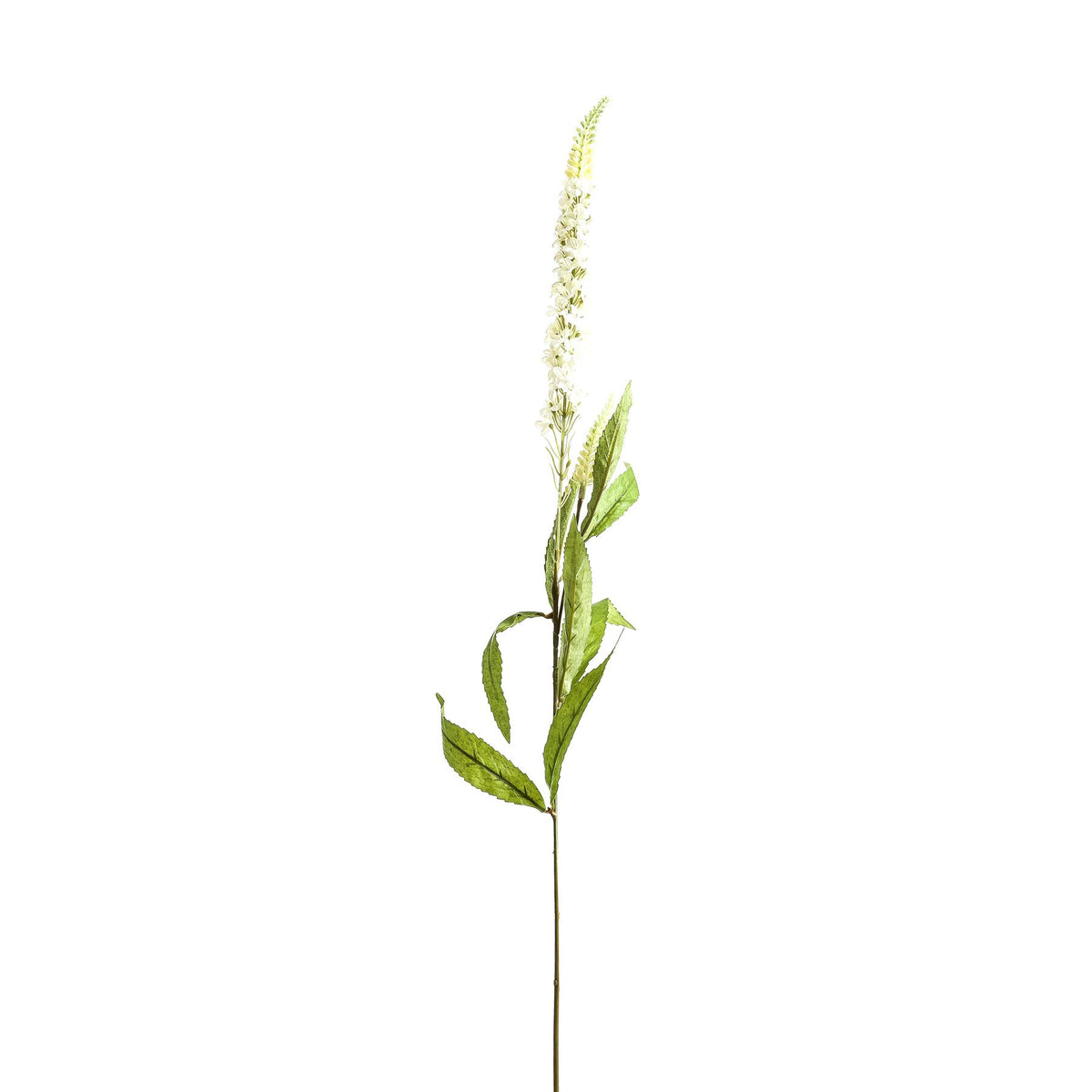 White Veronica Stem by SEDERVA - image 2