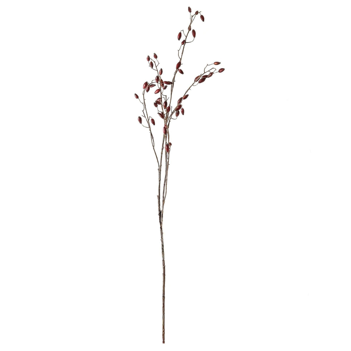 Burgundy Rosehip Stem by Hill Interiors - image 3