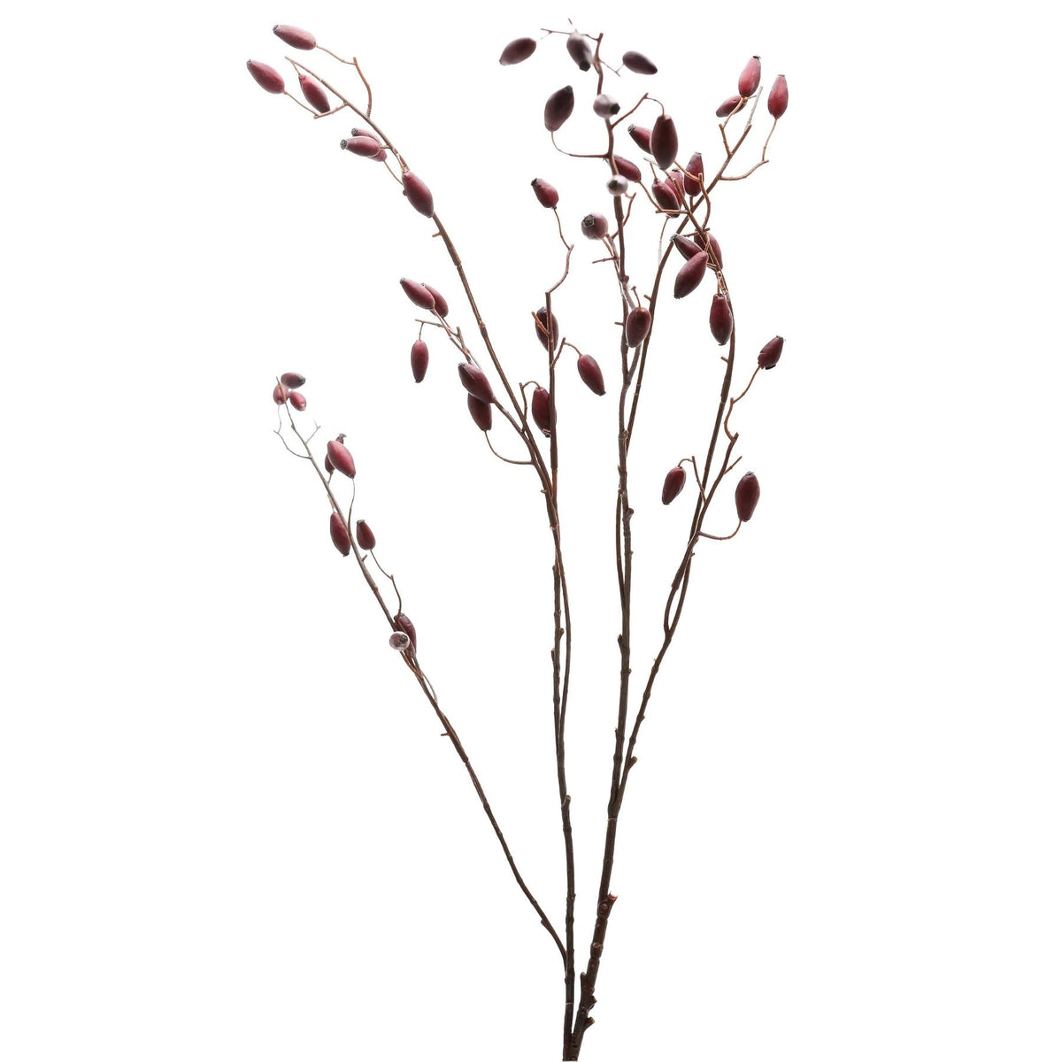 Burgundy Rosehip Stem by Hill Interiors - image 4