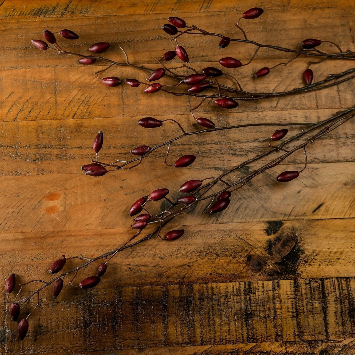 Burgundy Rosehip Stem by Hill Interiors