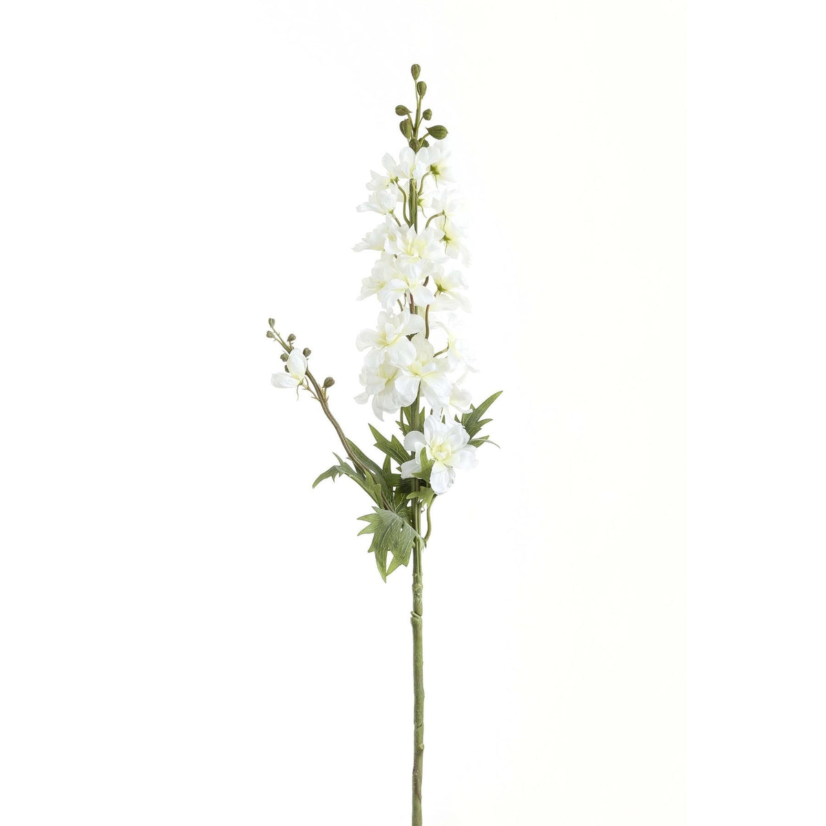 Tall White Delphinium Stem by Hill Interiors - image 2