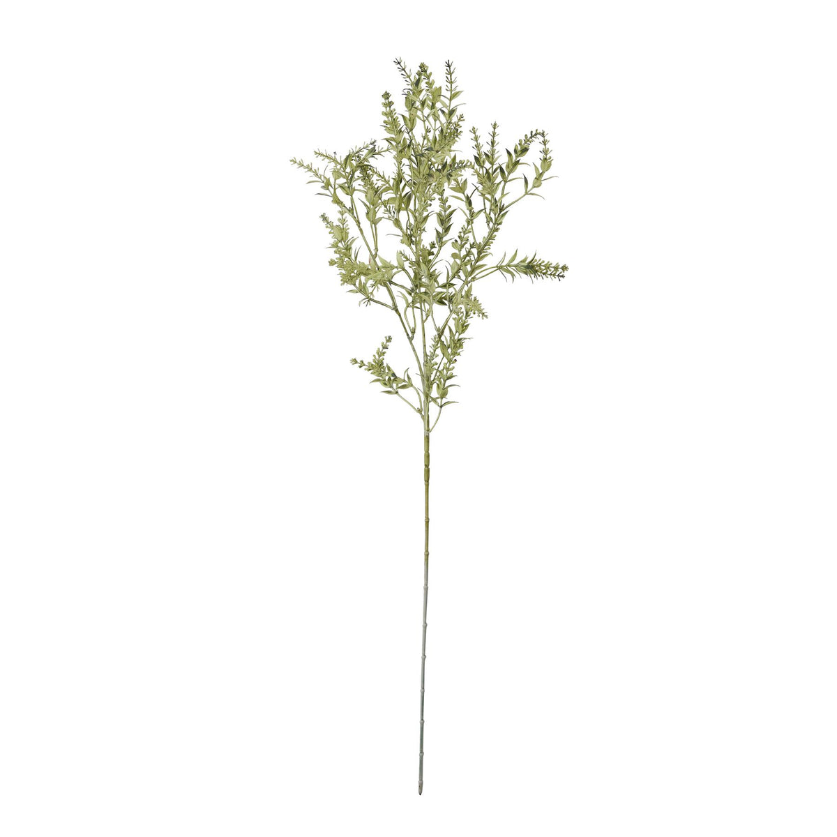 Broom Stem by Hill Interiors - image 4