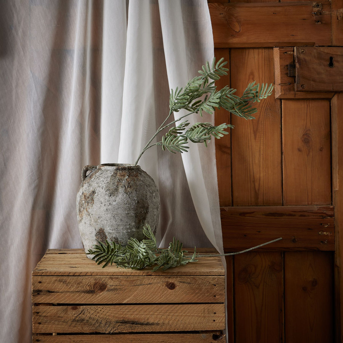 Silver Wattle Leaf by Hill Interiors - image 3