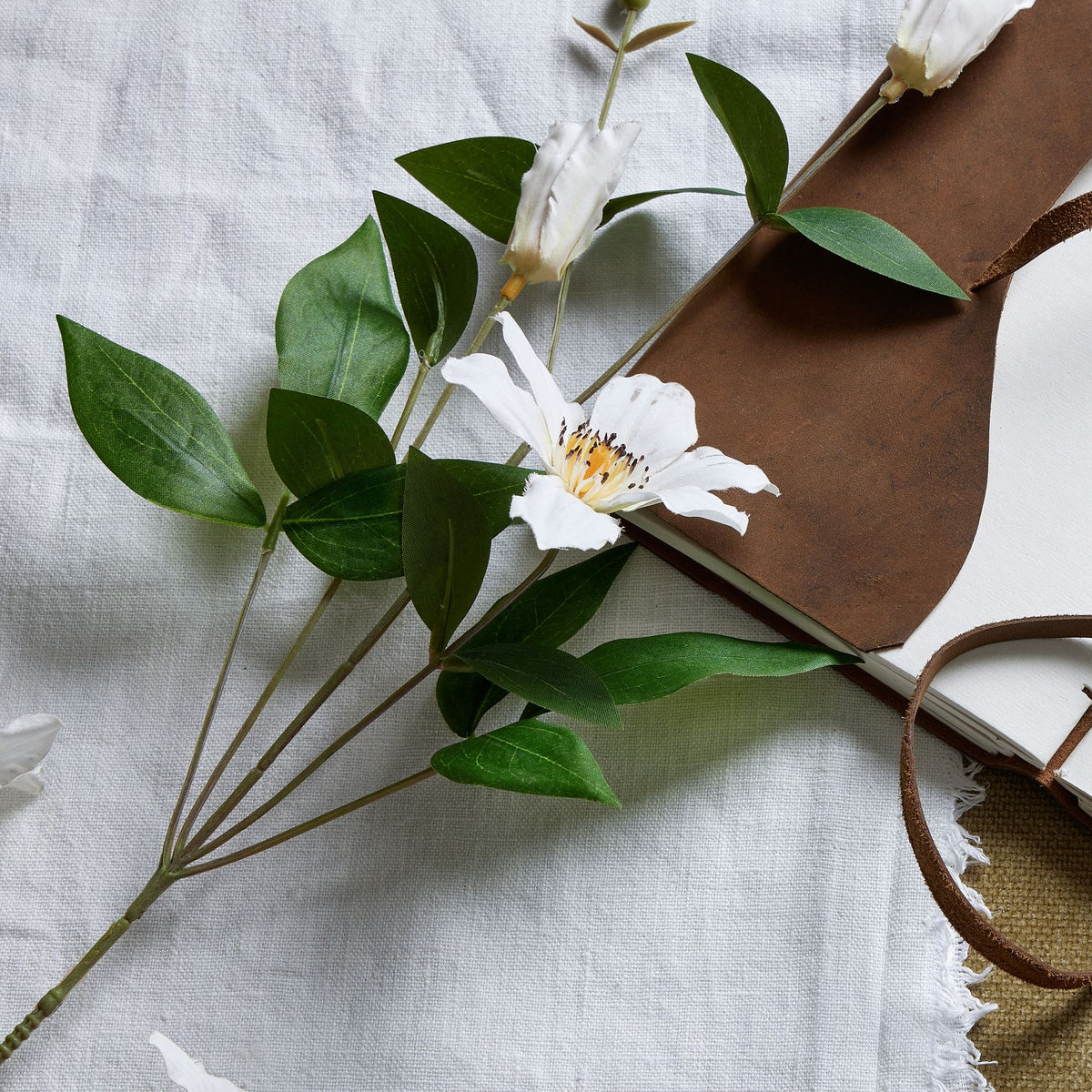 White Florida Clematis by Hill Interiors - image 2