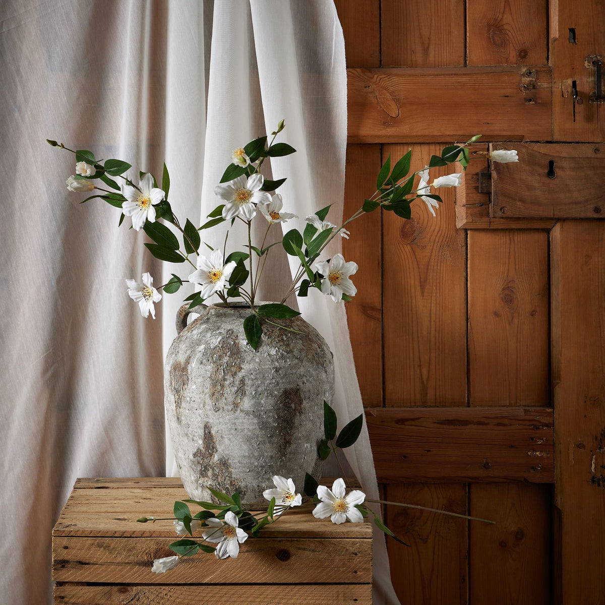 White Florida Clematis by Hill Interiors - image 3
