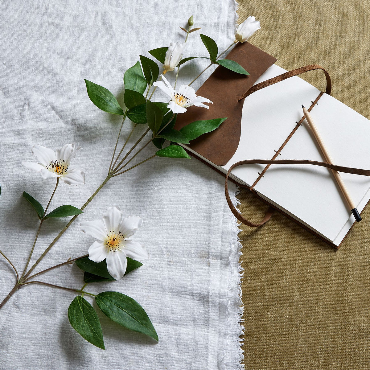 White Florida Clematis by Hill Interiors
