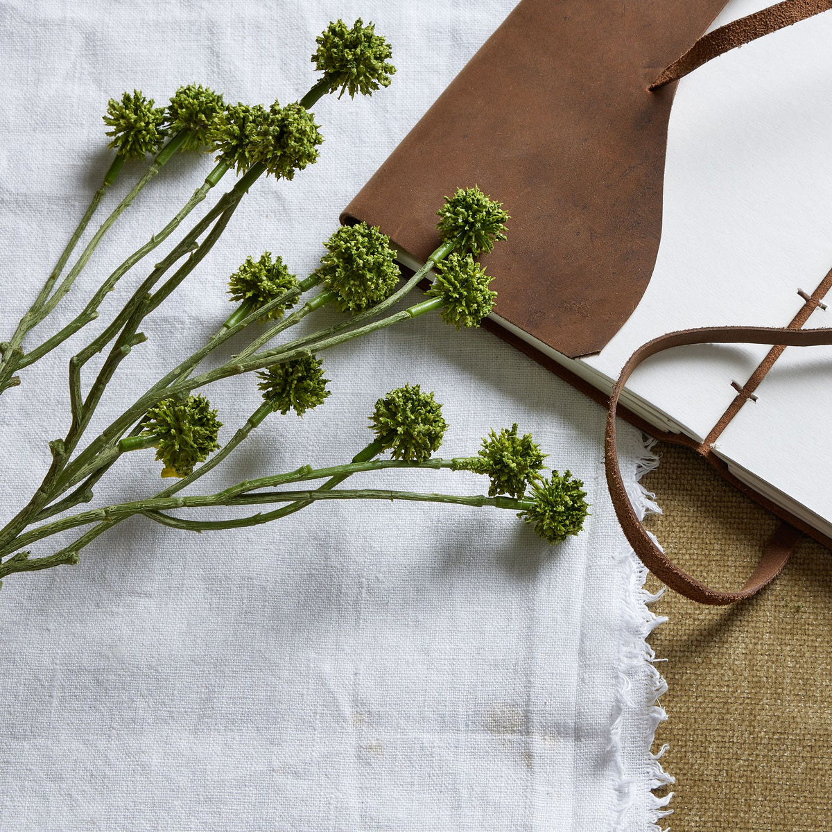 Green Craspedia Stem by Hill Interiors - image 2