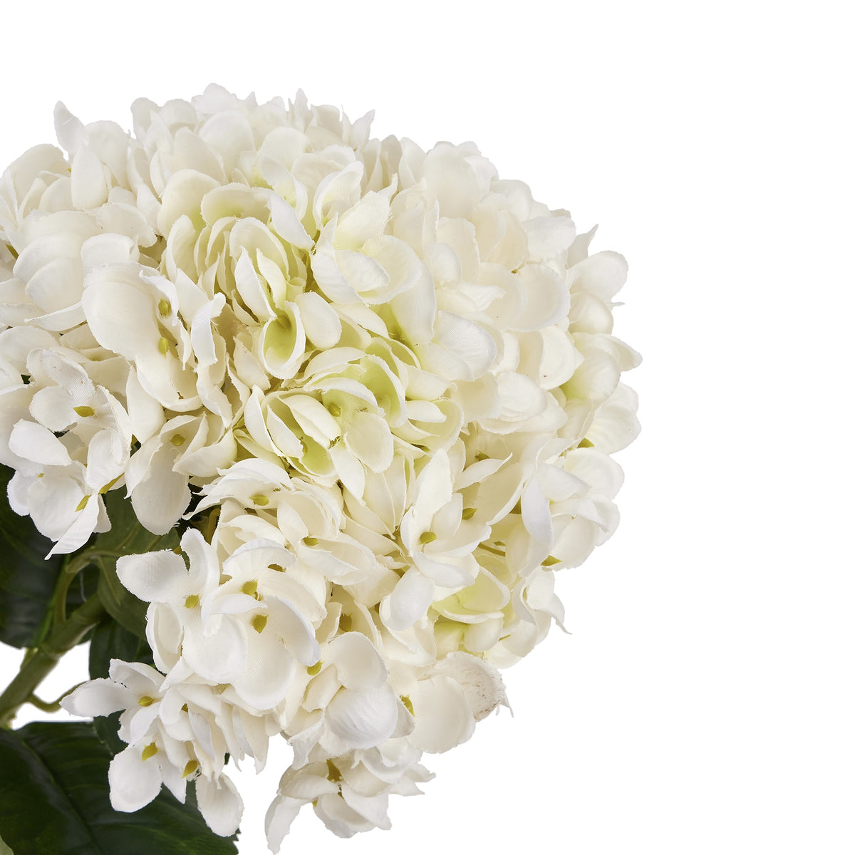White Hydrangea Stem by Hill Interiors - image 3