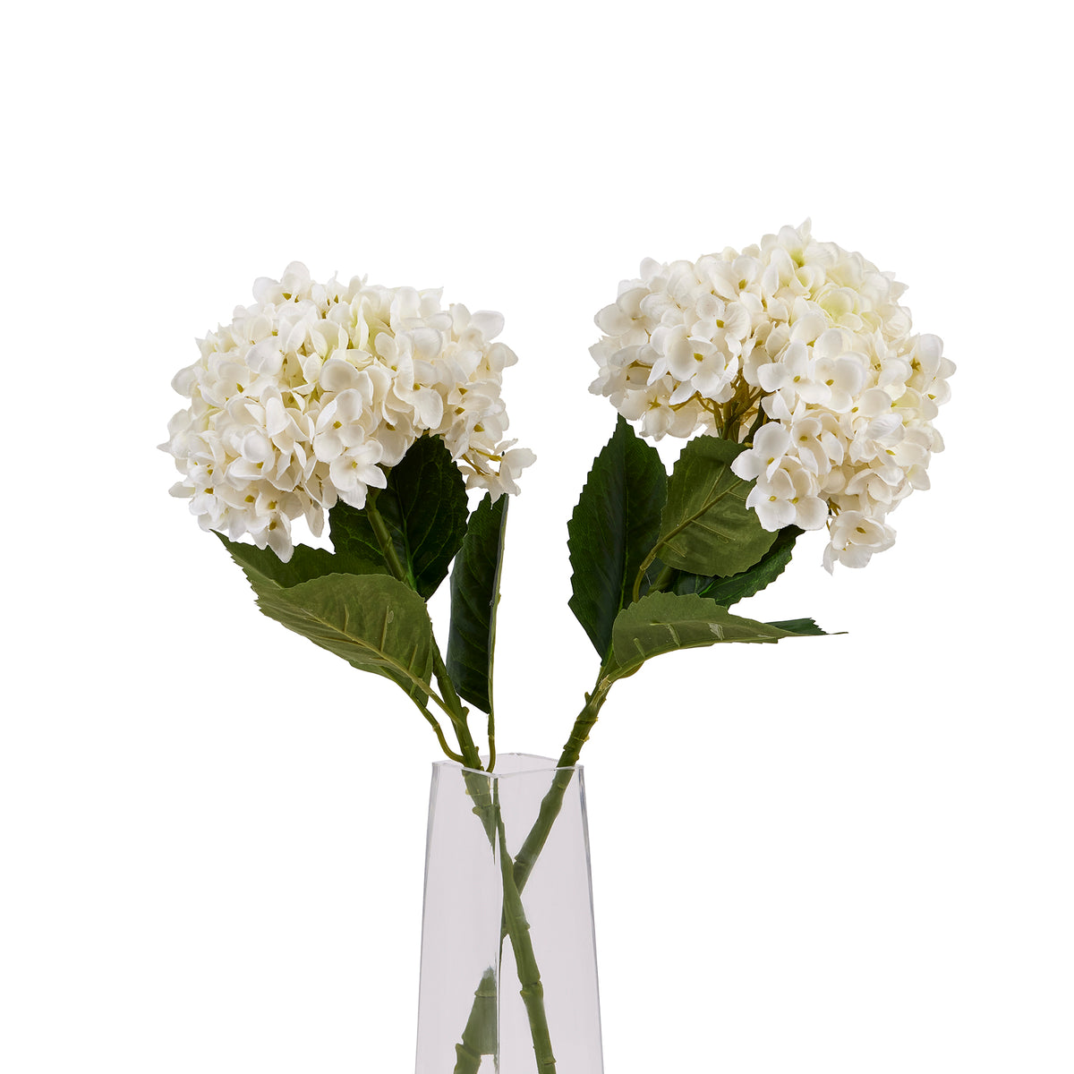 White Hydrangea Stem by Hill Interiors